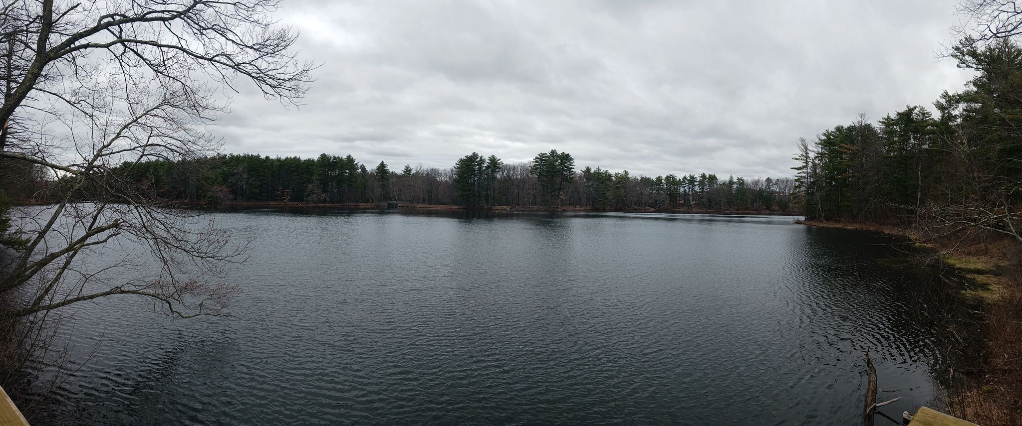 Wide panoramic view of a dark lake under an overcast sky, surrounded by trees. - Beginner Loop
