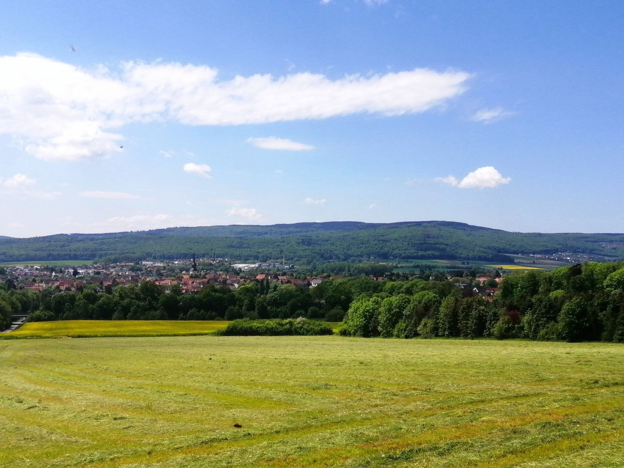 Der Süntel