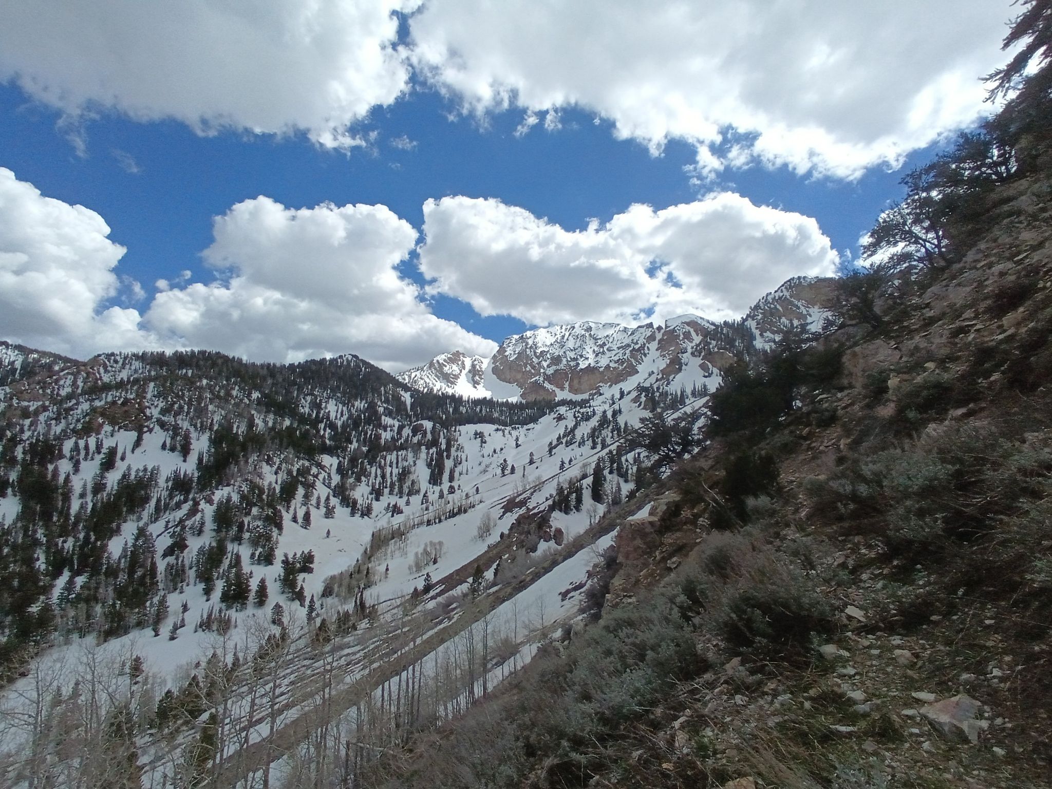 Snowy mountain range with forested slopes and rocky cliffs under a cloudy sky. - South Willow Lake and Stansbury Crest Loop