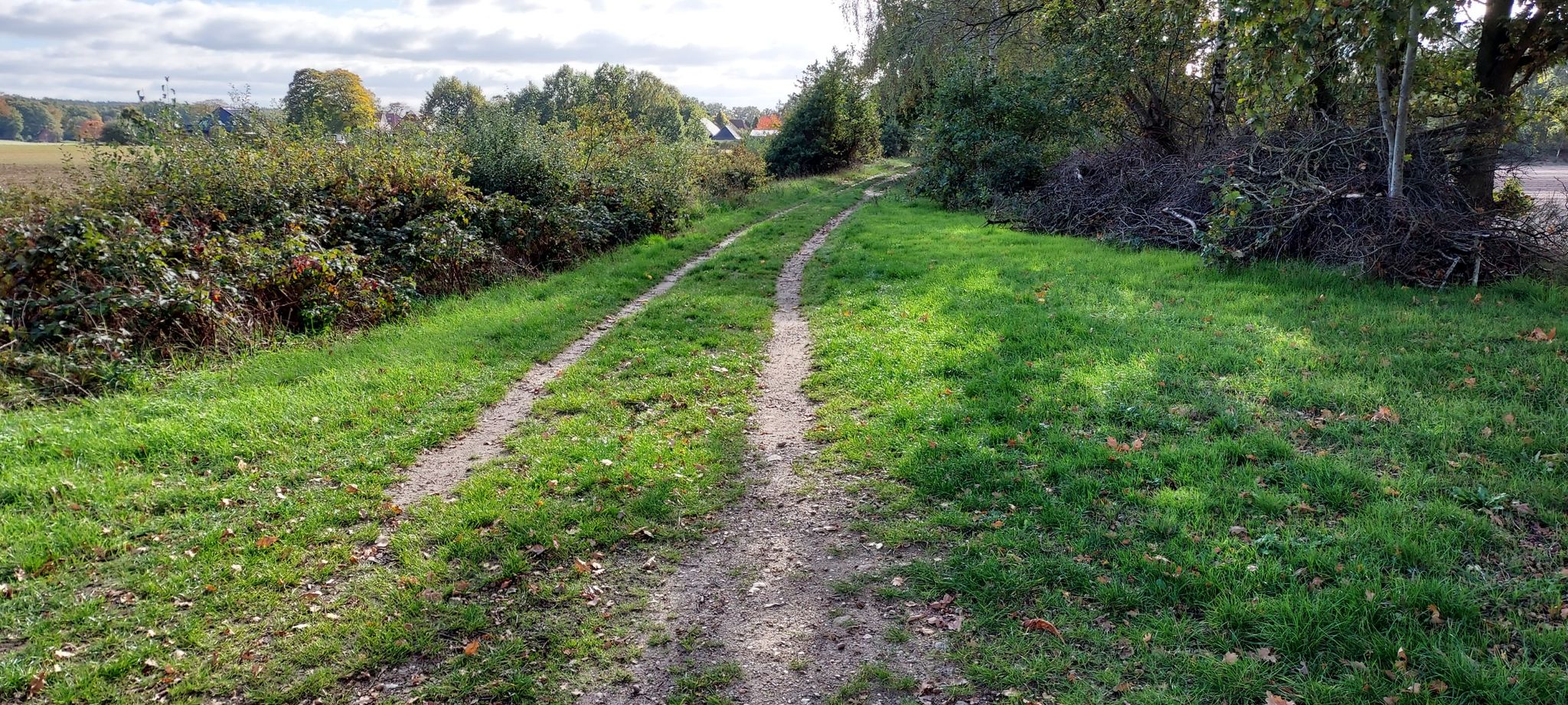 Singletrail