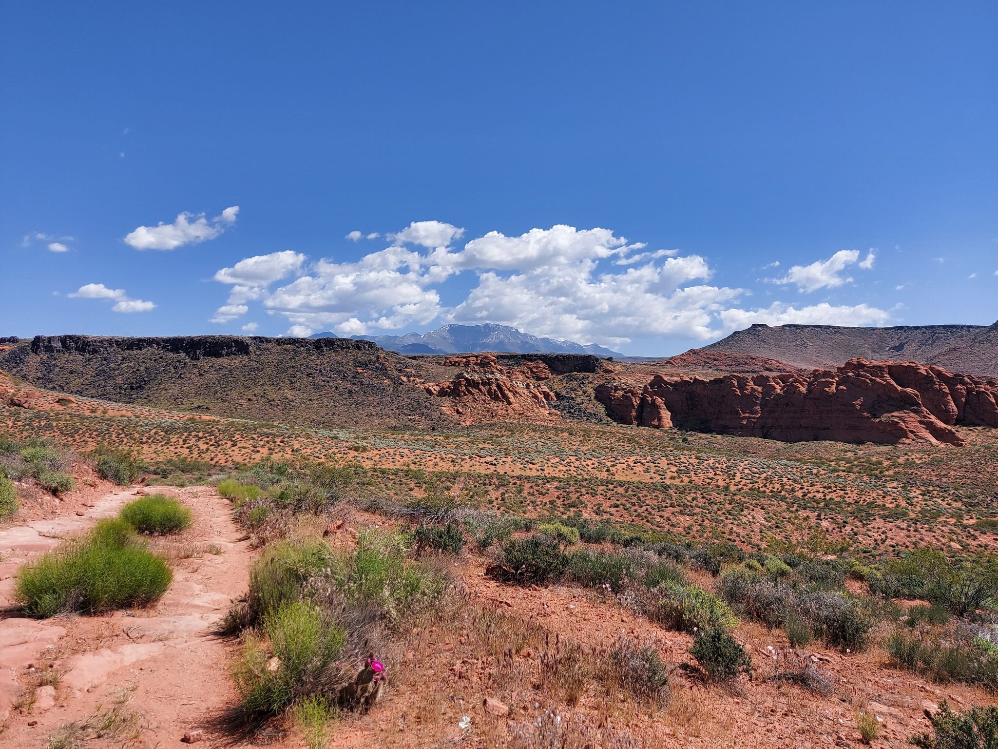 Desert landscape with red dirt path, green bushes, distant mountains, and blue sky. - Beck Hill and Paradise Rim Loop