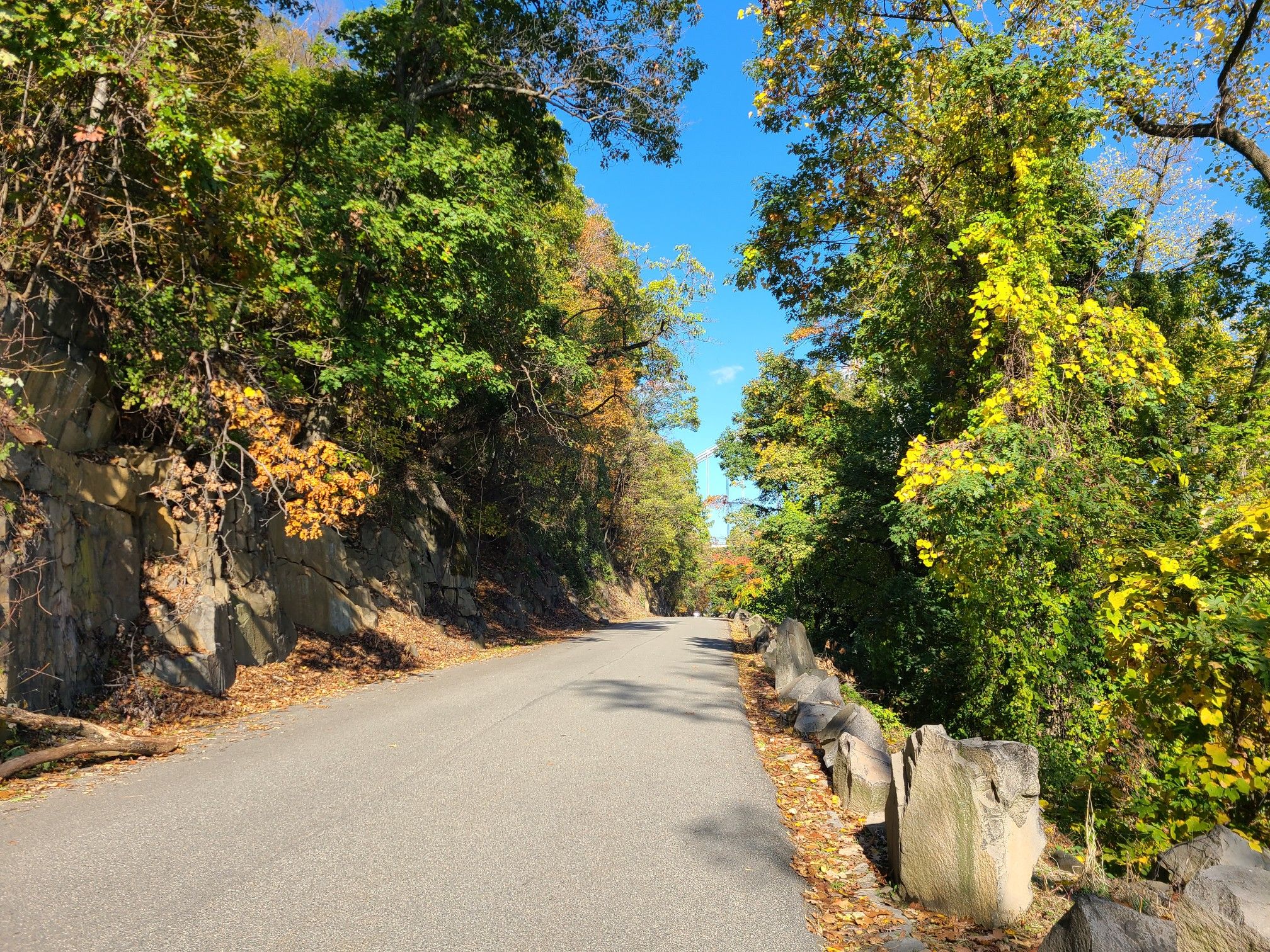 Paved road through a forest with vibrant green and yellow autumn leaves. - Hudson River Drive – Hudson Drive loop from Englewood