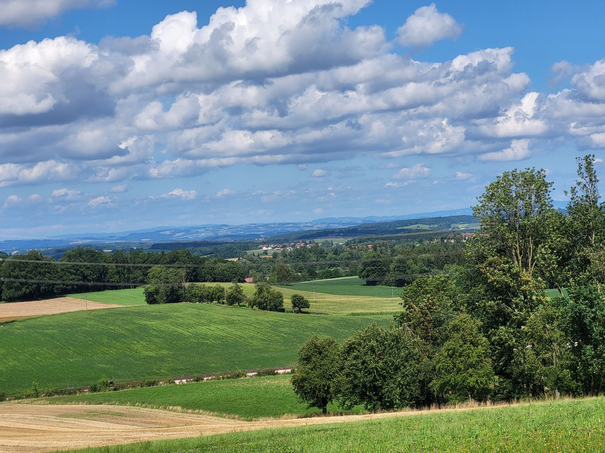 Weitbkick vom Renhartsberg