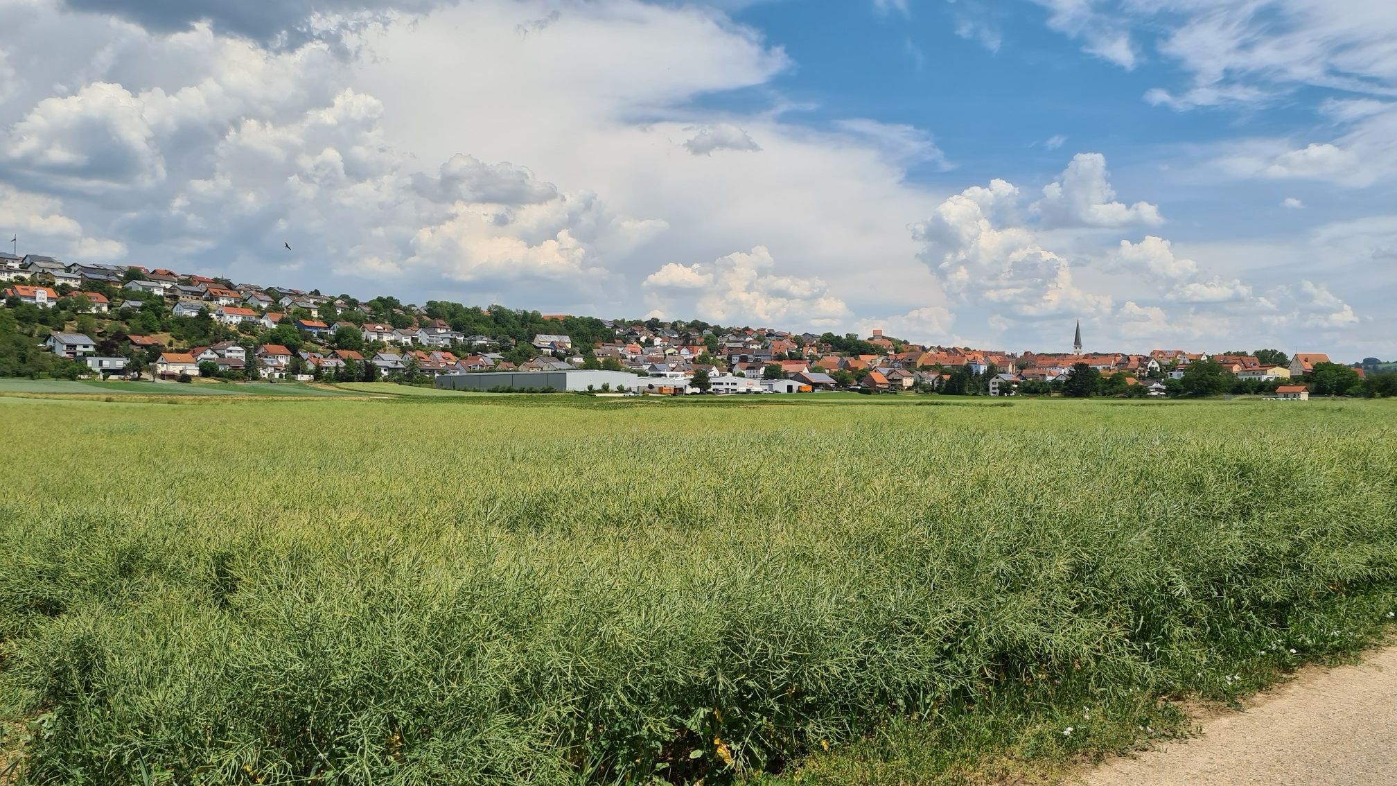 Neudenau