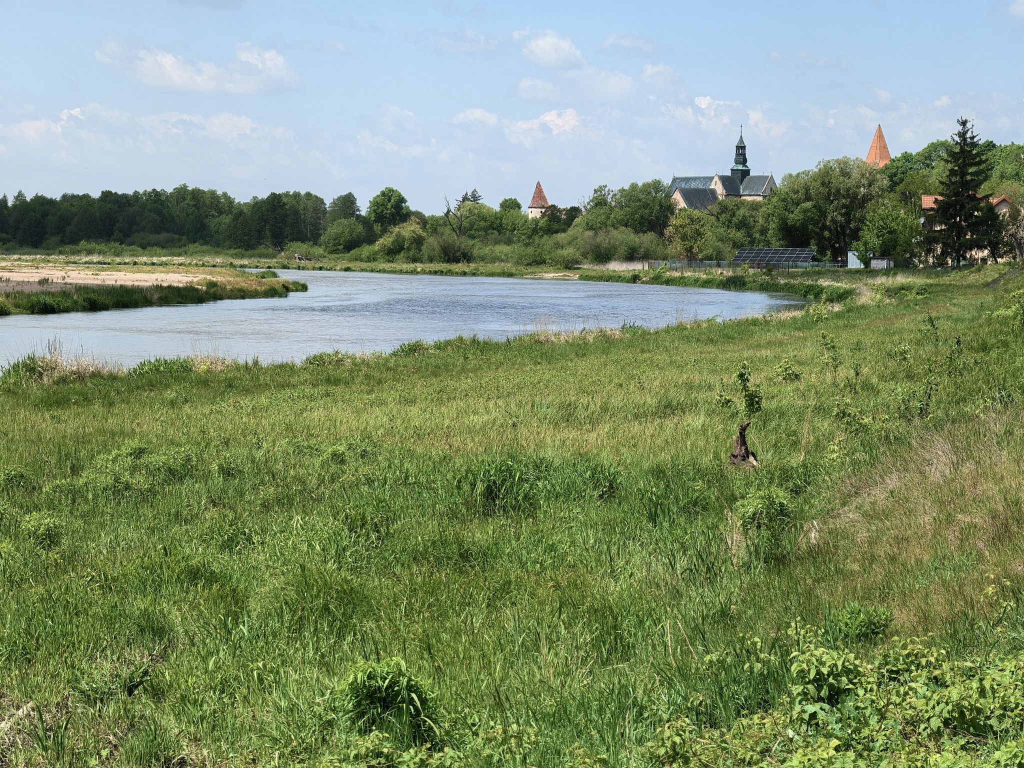Pilica w Sulejowie, w oddali Opactwo Kamedułów.