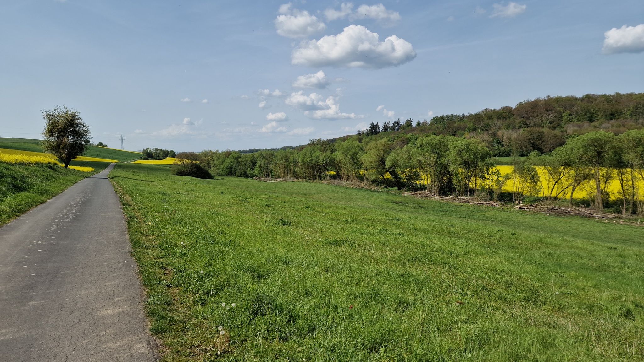 Zwischen Esch und Walsdorf