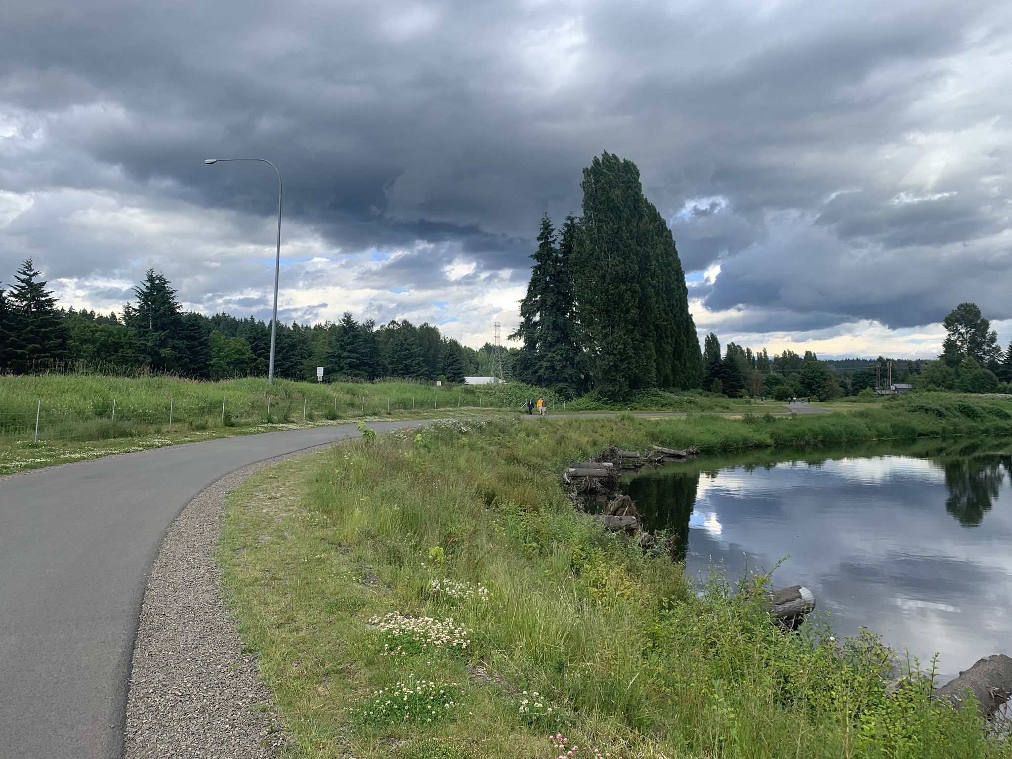 Overcast day, paved path curves beside a river with tall trees. - Kenmore - Snohomish Loop