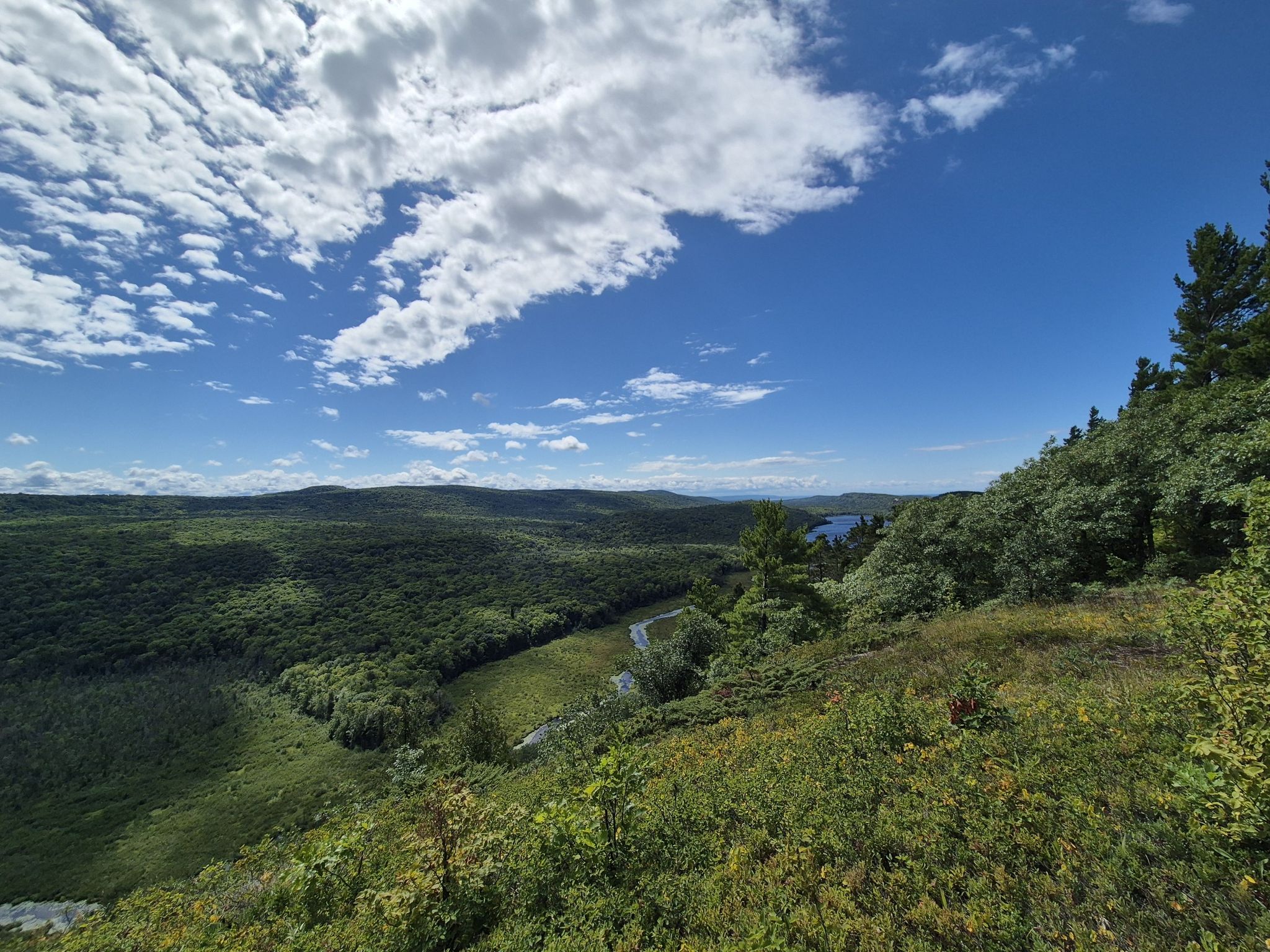 Wide panoramic view of a vast green forest and valley under a bright blue sky. - Escarpment and Government Peak Trail Loop