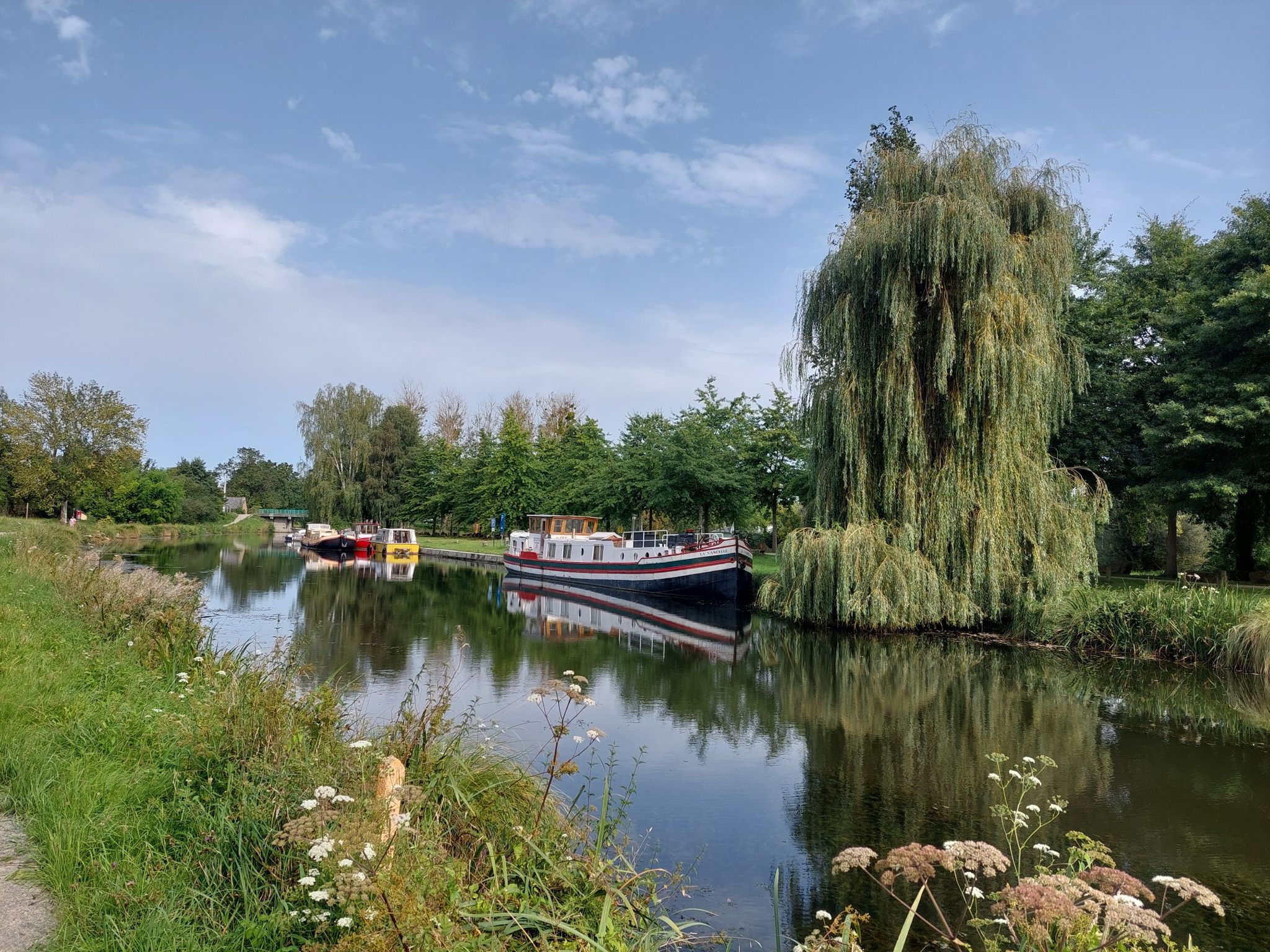 treverien