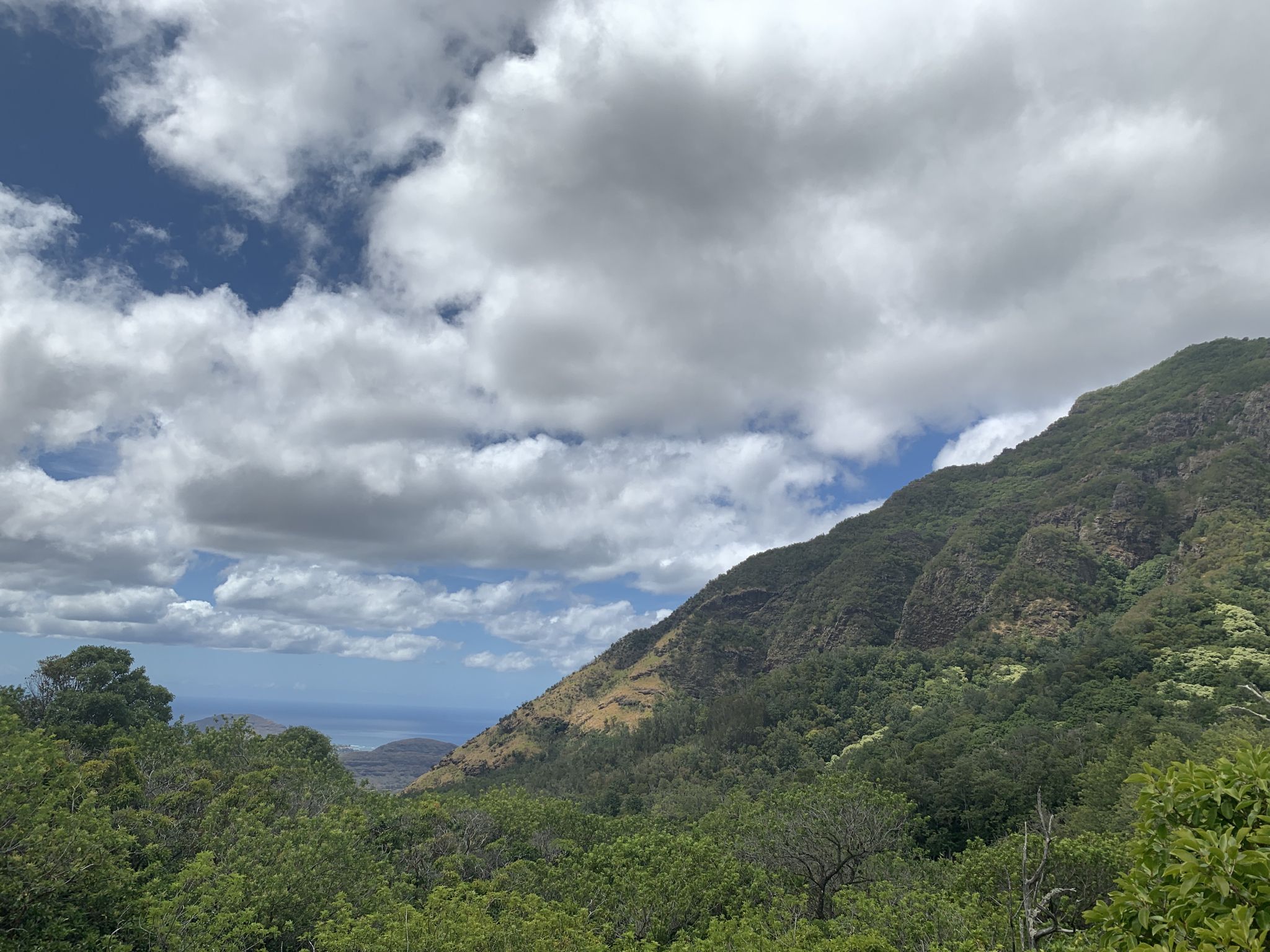 Green mountain slopes and distant ocean under a bright, cloudy sky. - Mount Ka'ala Trail