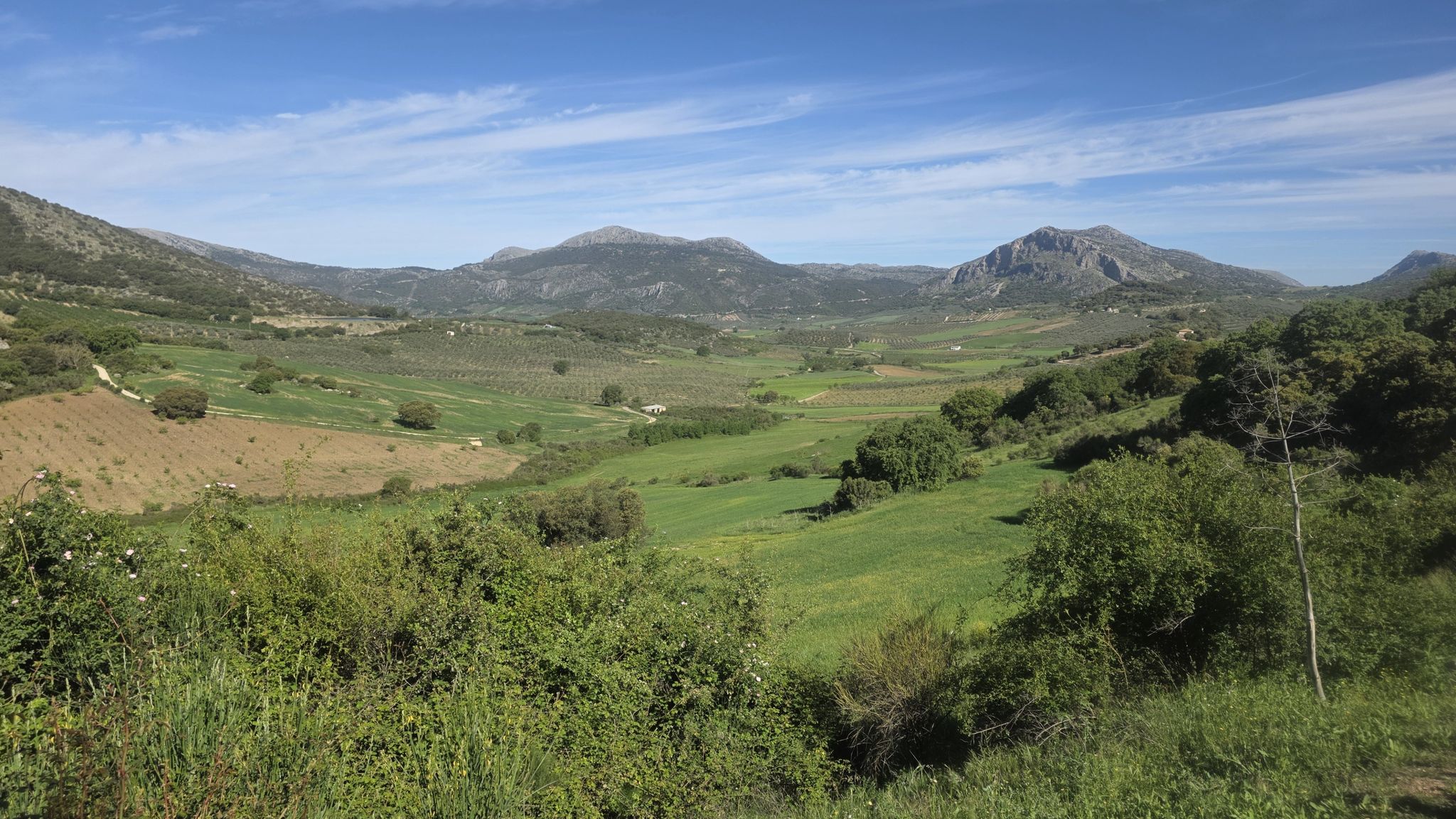 Blick zurück auf Alfanate