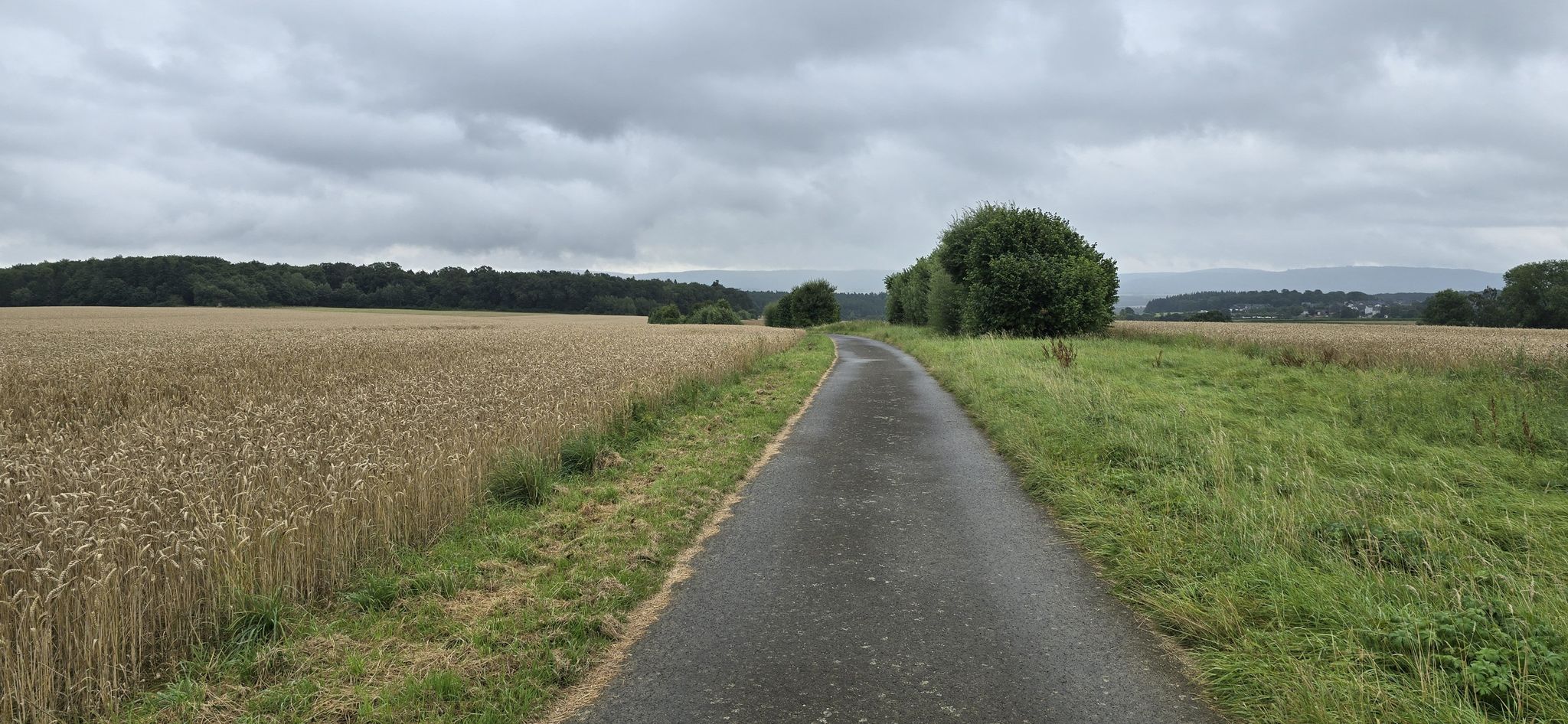 foot/bike path from Kirchberg