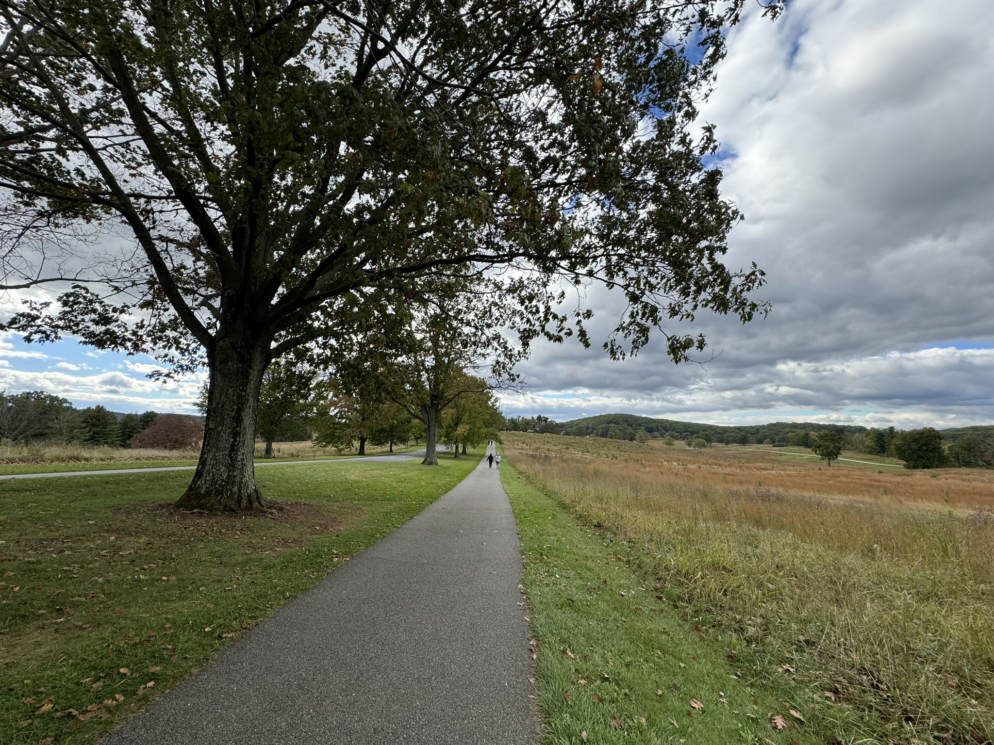 Paved path under large tree, person walking, open field, cloudy sky. - Joseph Plumb Martin Trail Loop