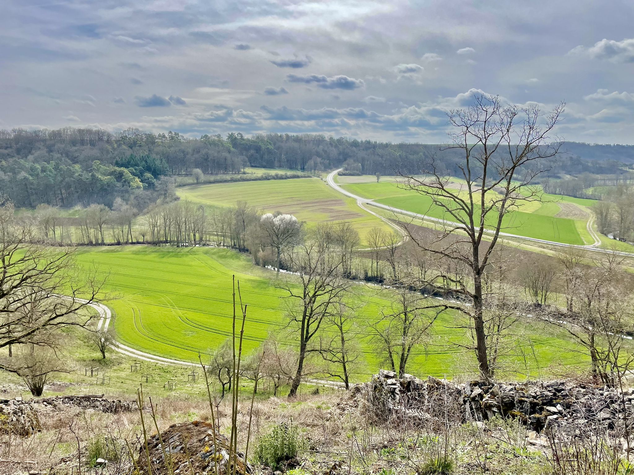 Schöner Ausblick runter ins Gollach Tal