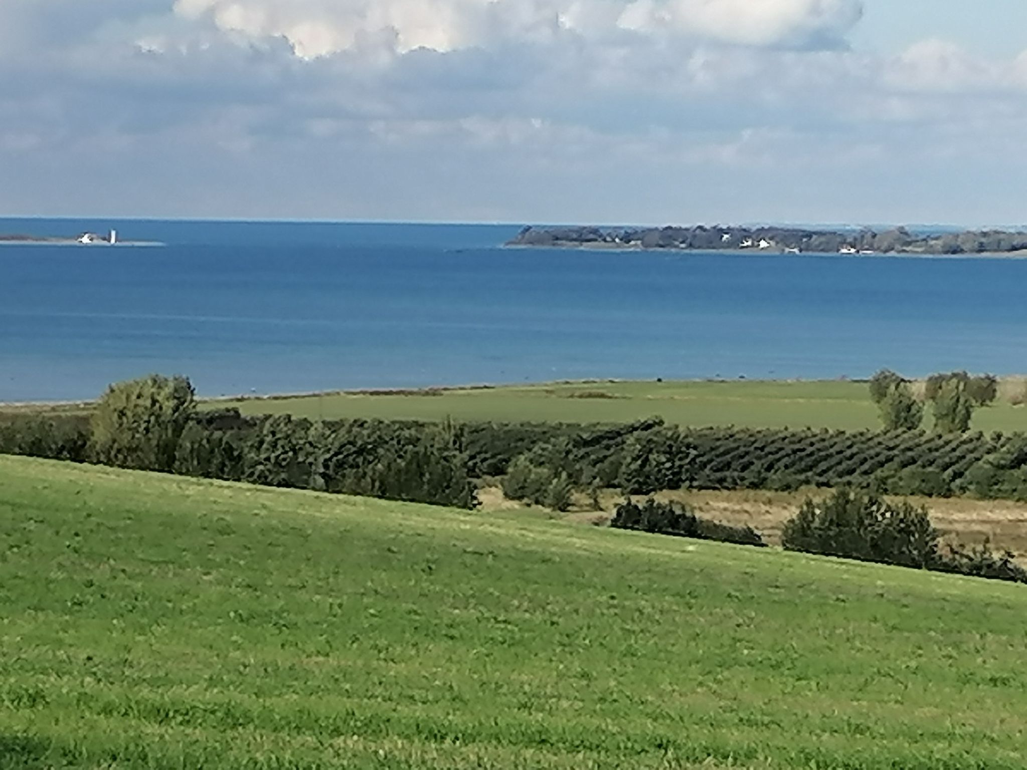 Toller Blick auf den Odense-Fjord