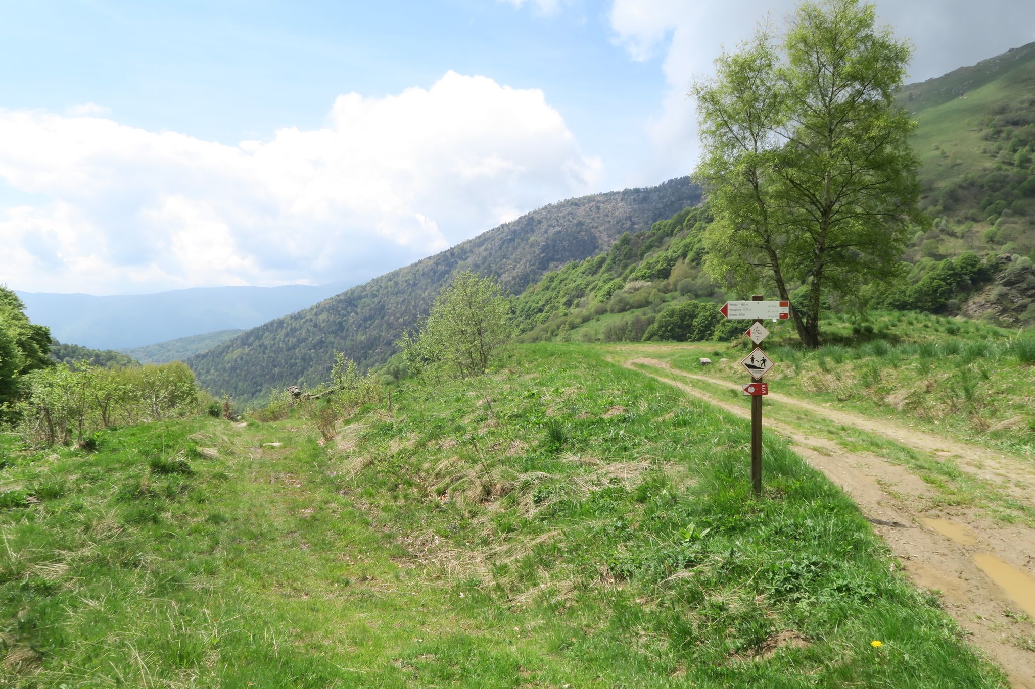 Inizio del single-track sotto alpe Ghet