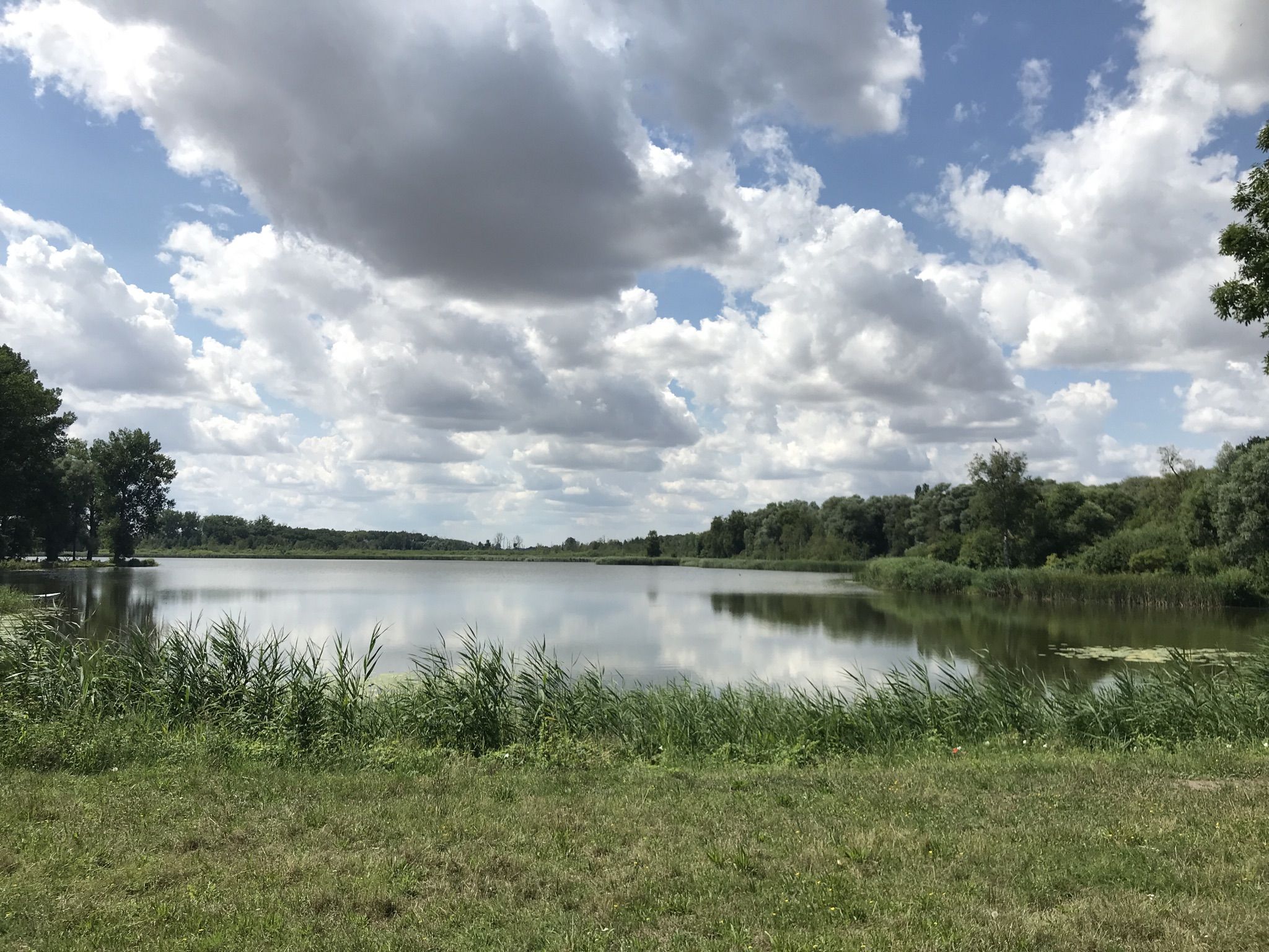 Mühlenteich