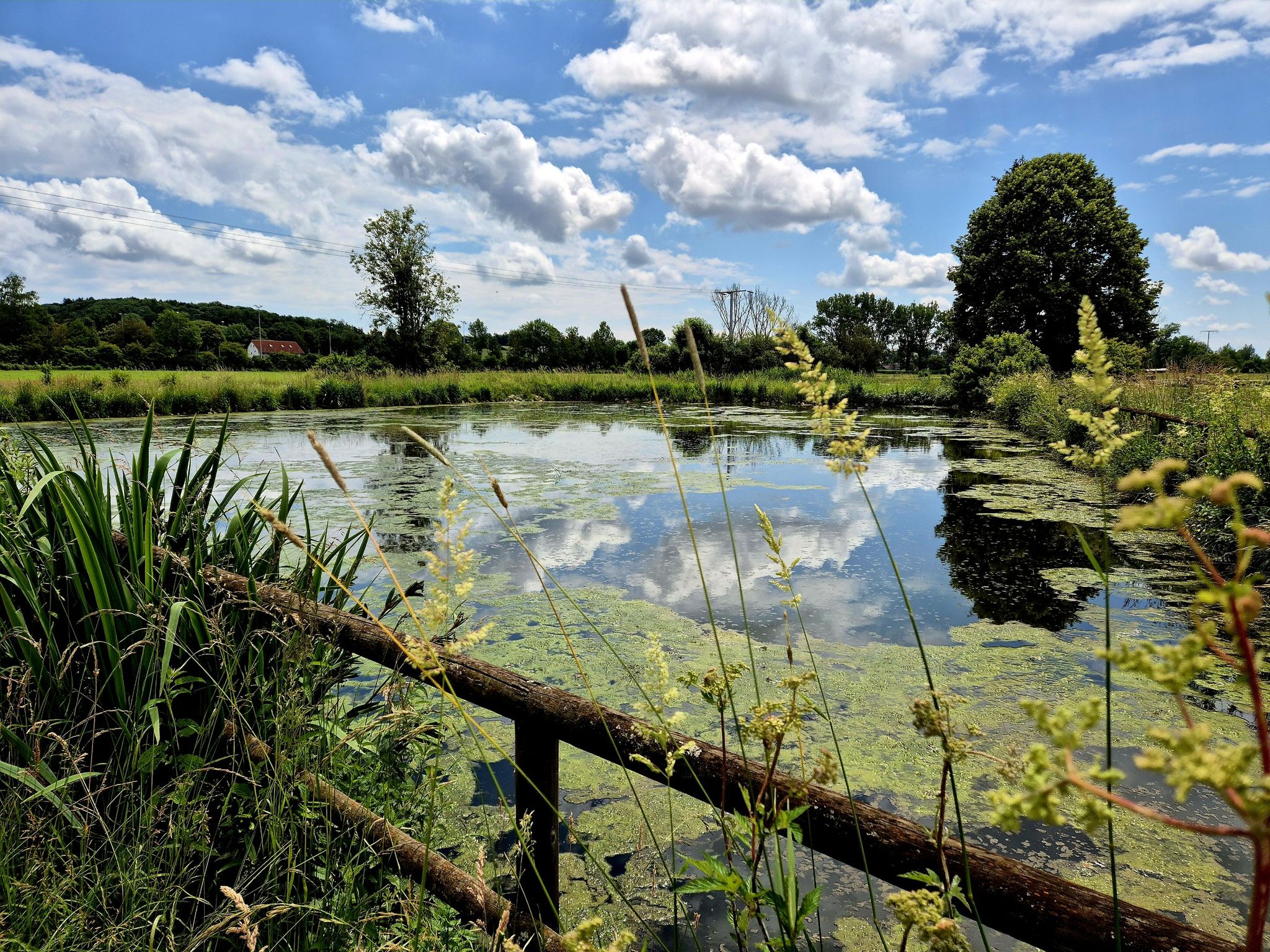 Weiher in Pattendorf