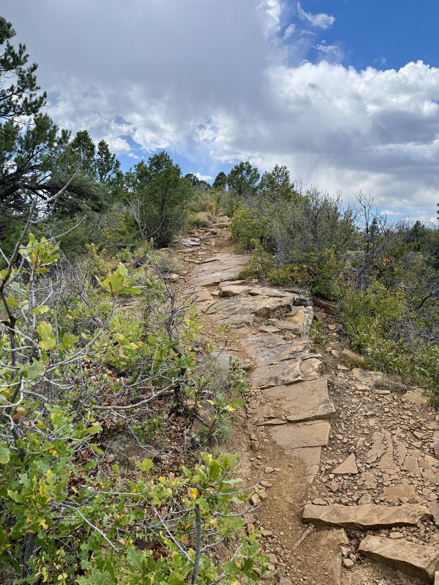 Rocky dirt trail winding uphill through sparse green vegetation under clouds. - Skyline Trail