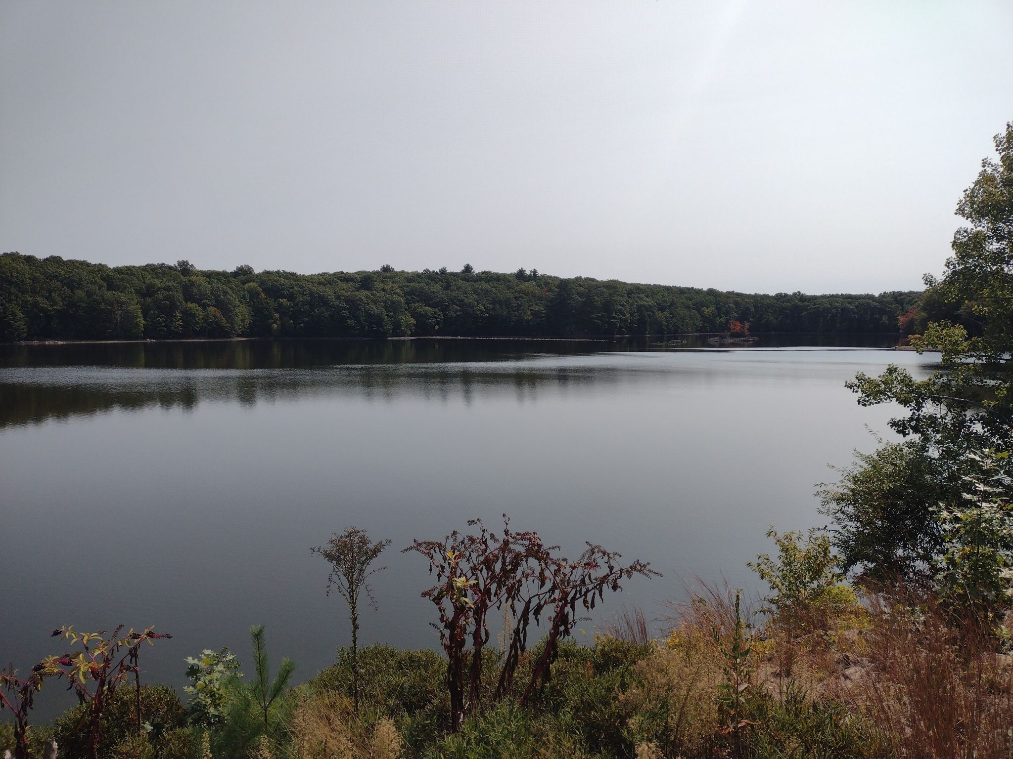 A tranquil lake surrounded by dense forest under an overcast sky. - Franklin to Diamond Hill Reservoir loop