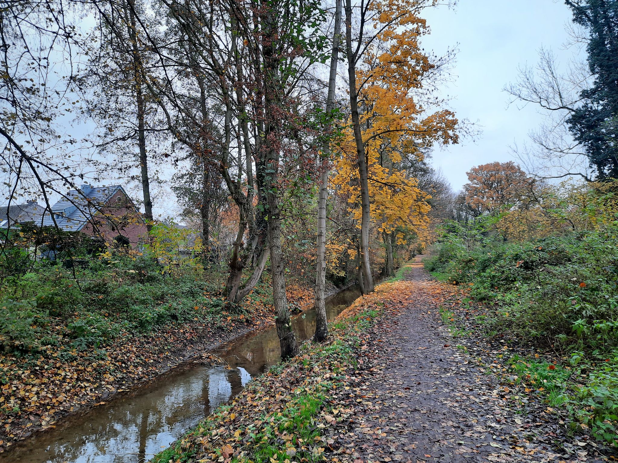 Wanderweg entlang des Beeckbachs