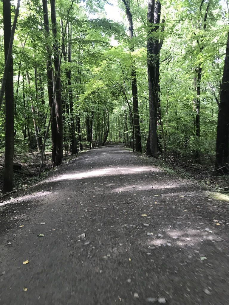Några kilometer i Tallman Mountain State Park