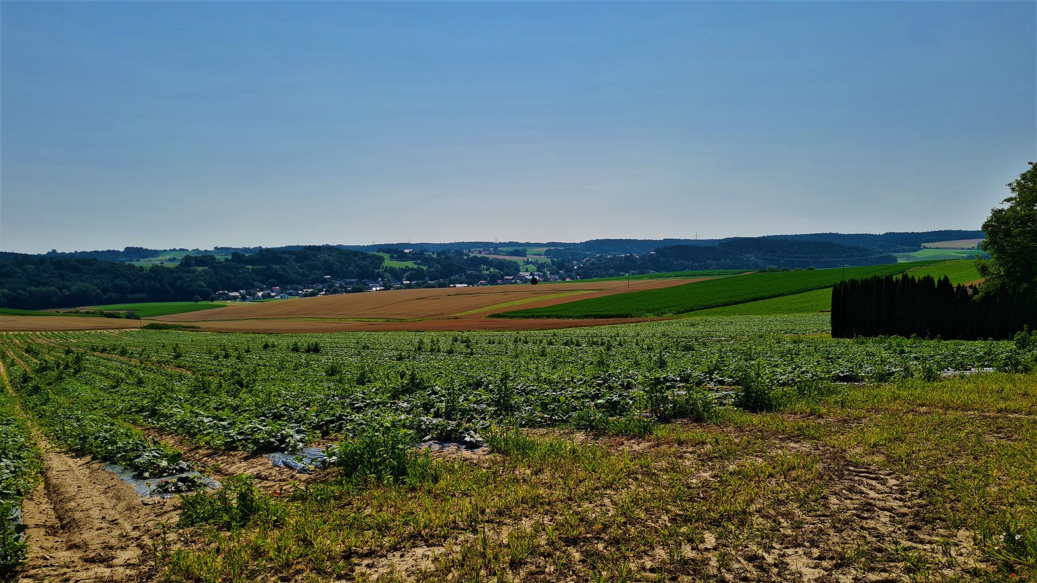 Blick nach Bubach