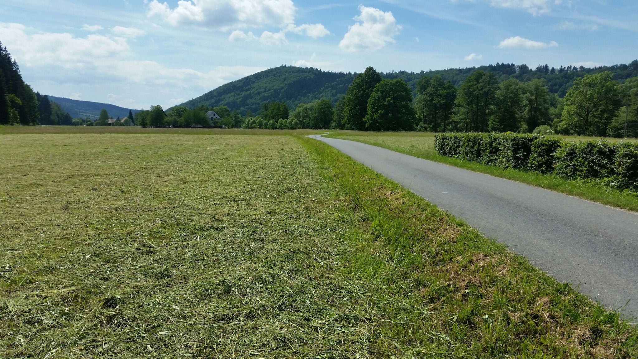 Südweg