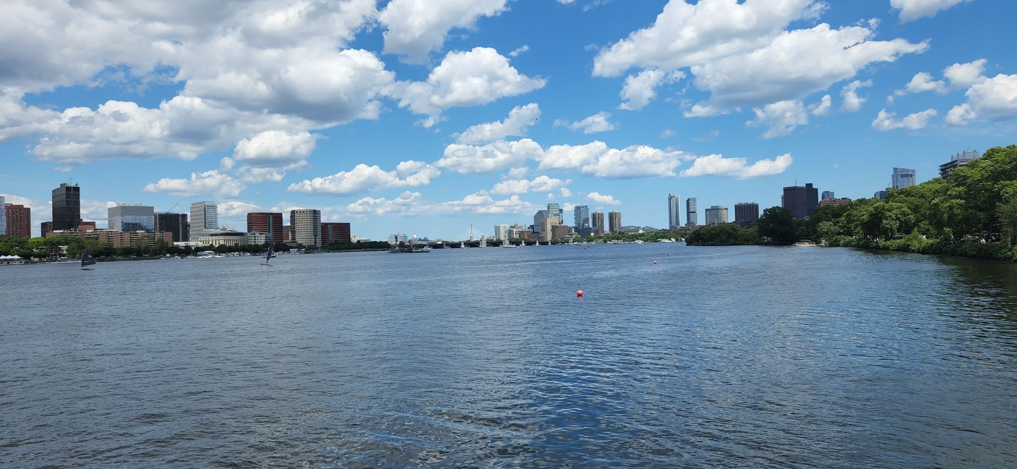 Sunny day over a wide river with a distant city skyline and fluffy clouds. - Southern Promenade on Charles River – Harvard Bridge loop from Union Square