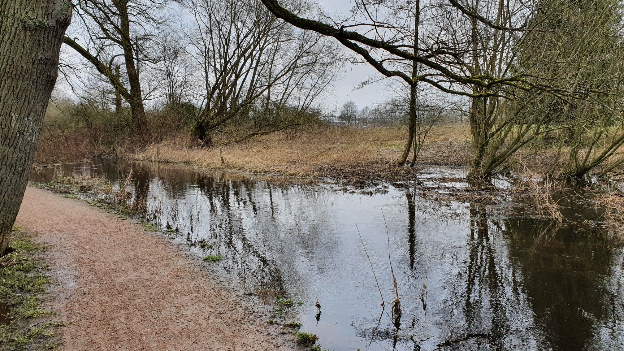 Hochwasser am Aue Wanderweg 