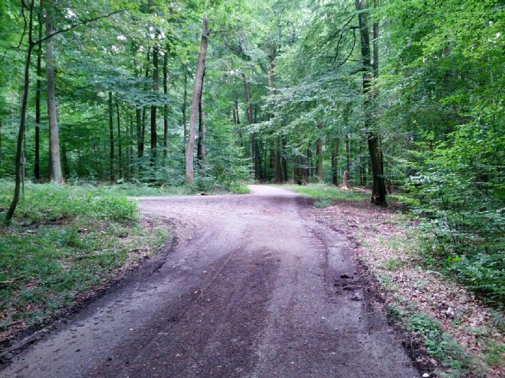 Wegeinmündung