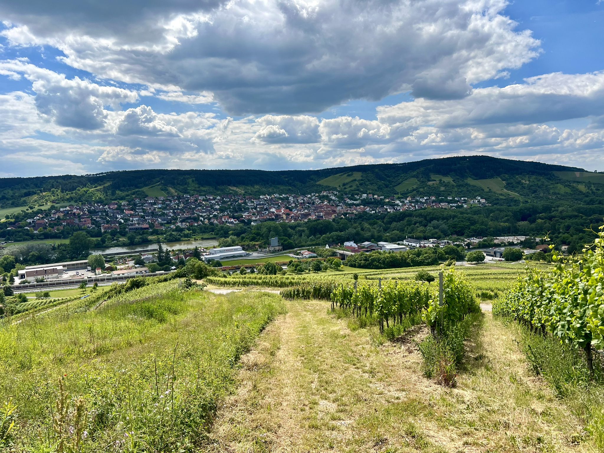 Nochmal Erlabrunn