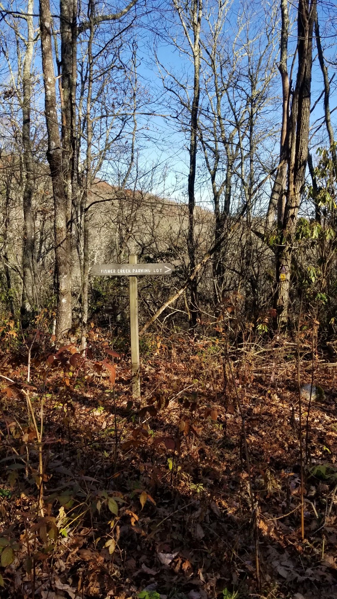 A wooden trail signpost stands in a sunny, leaf-covered forest. - West Fork Trail – Blackrock Mountain loop from Pinnacle Park Tour