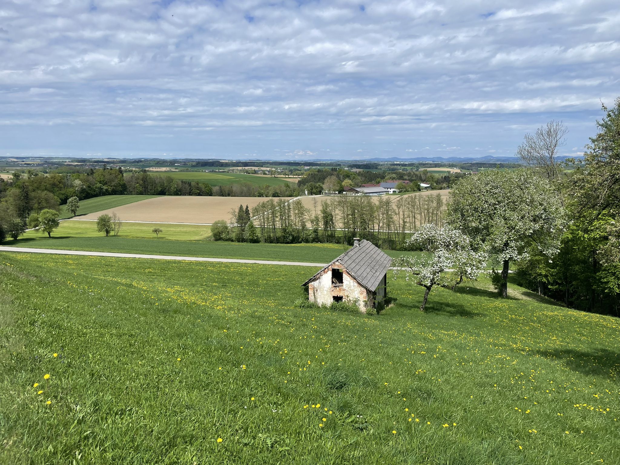 Am Engelsberg vorbei zum Latzelsberg