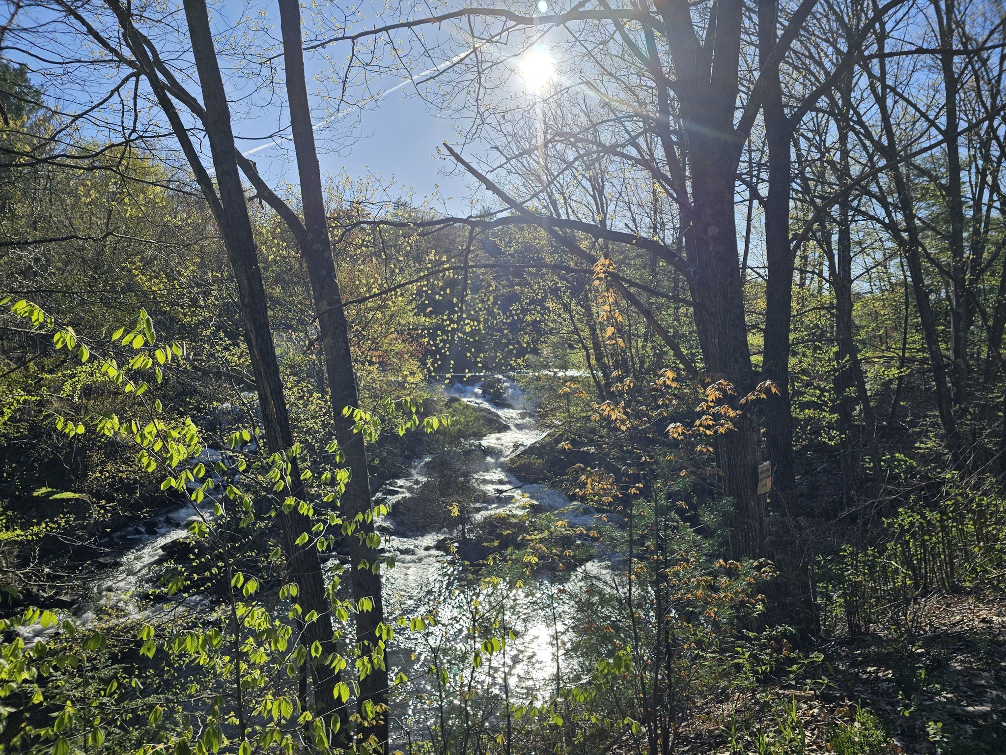 Sunlit rocky stream flowing through a vibrant green forest. - Northern Rail Trail