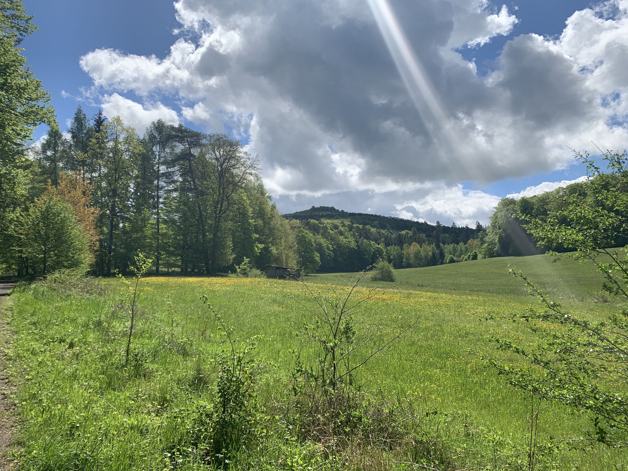 Blick zum Auerberg ca. 500 Höhenmeter