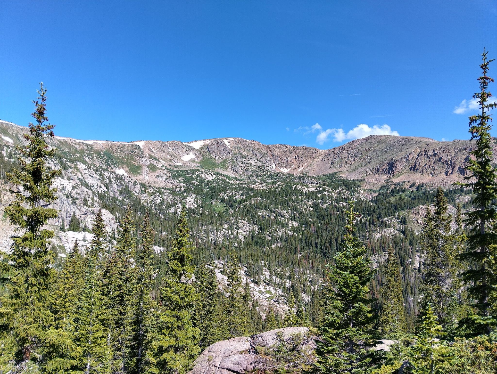 Panoramic view of rugged mountains and a vast pine forest under clear blue sky. - Colorado Trail: Segment 9