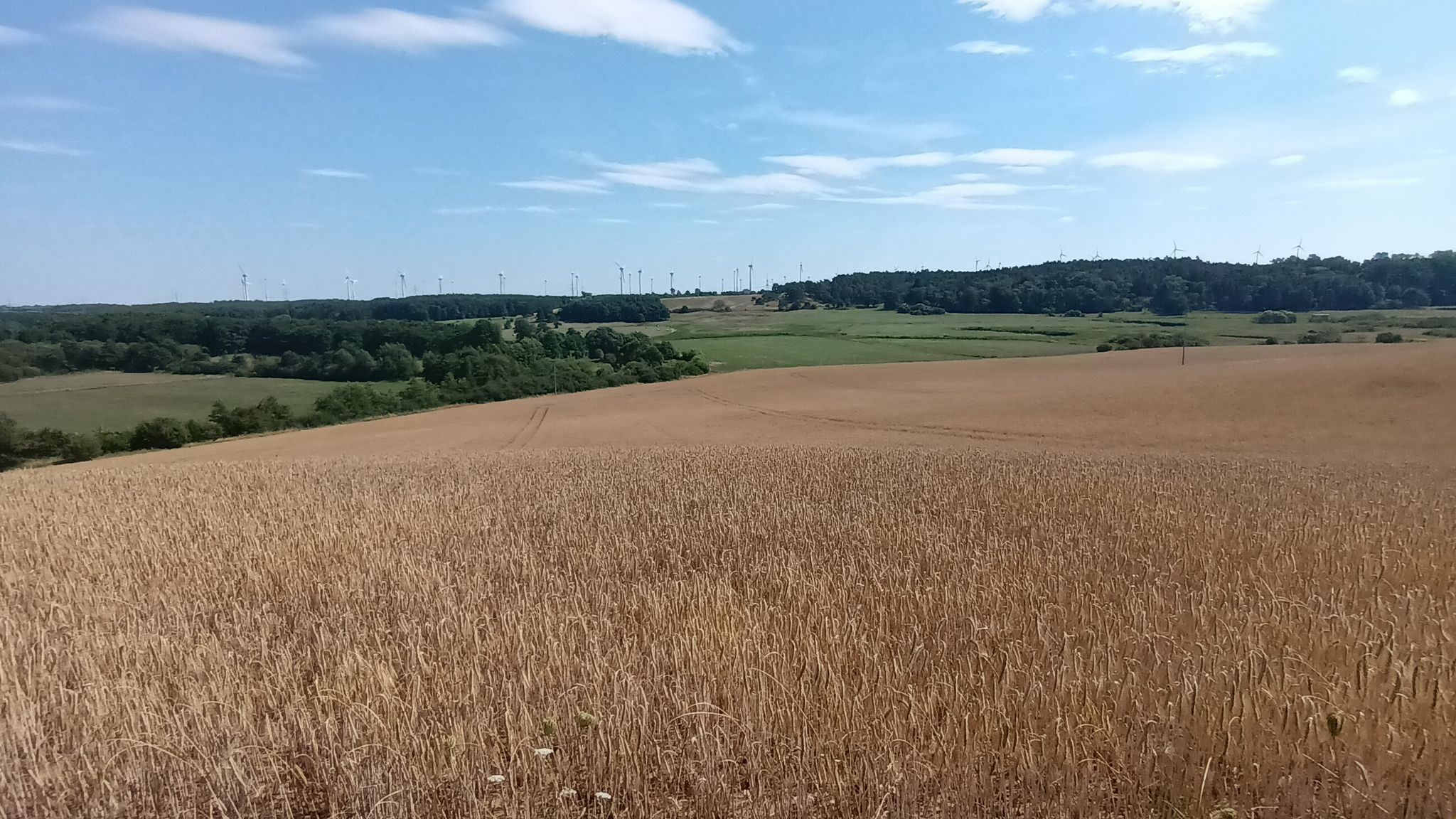 Blick ins Tollensetal