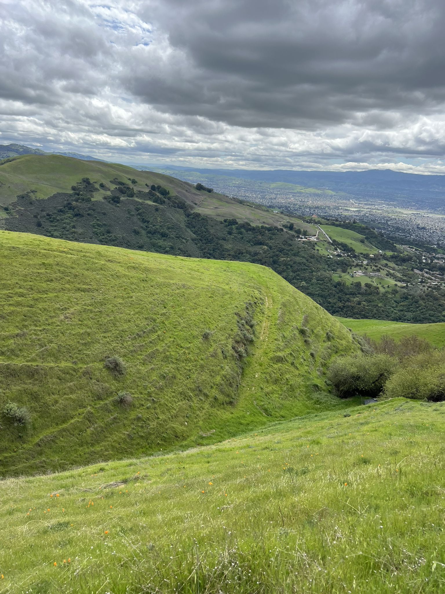Verdant green hillsides with a distant city visible under a cloudy sky. - Sierra Vista Trail