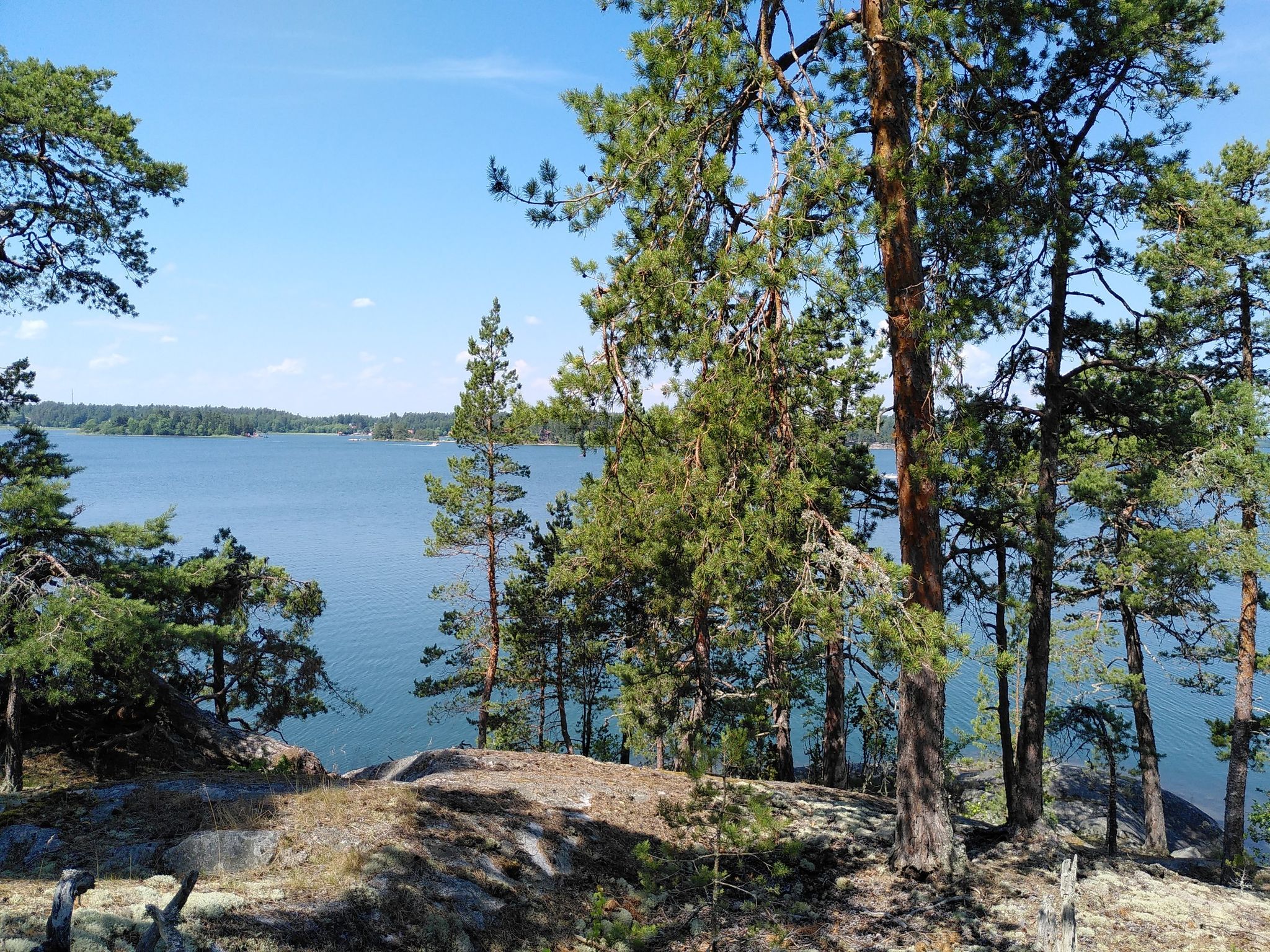 View from the rock