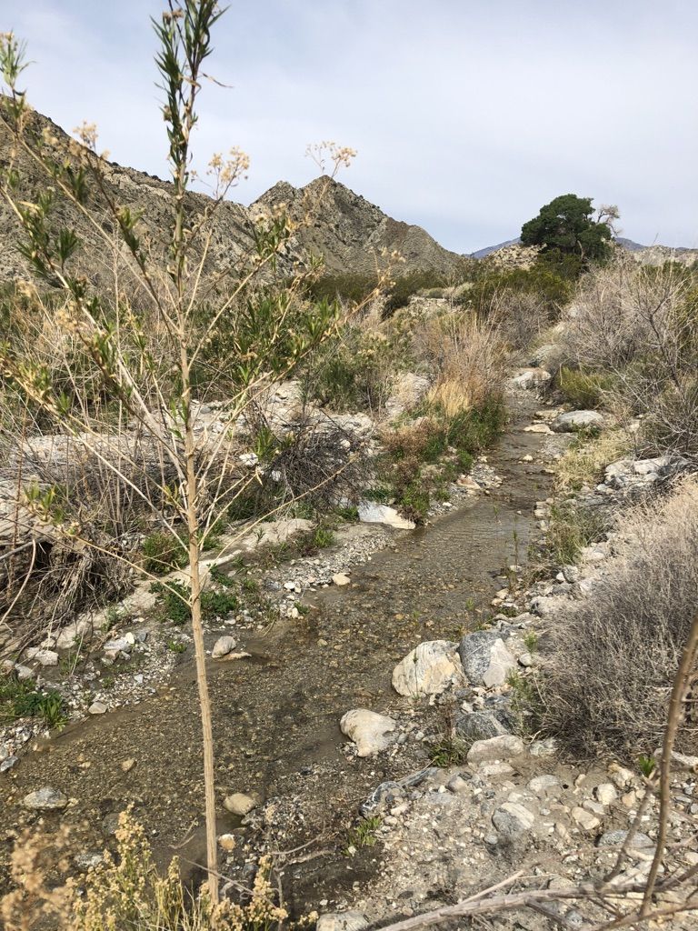 Rocky stream bed winding through dry, brushy mountains under an overcast sky. - Mission Creek Shelter – San Bernardino National Forest