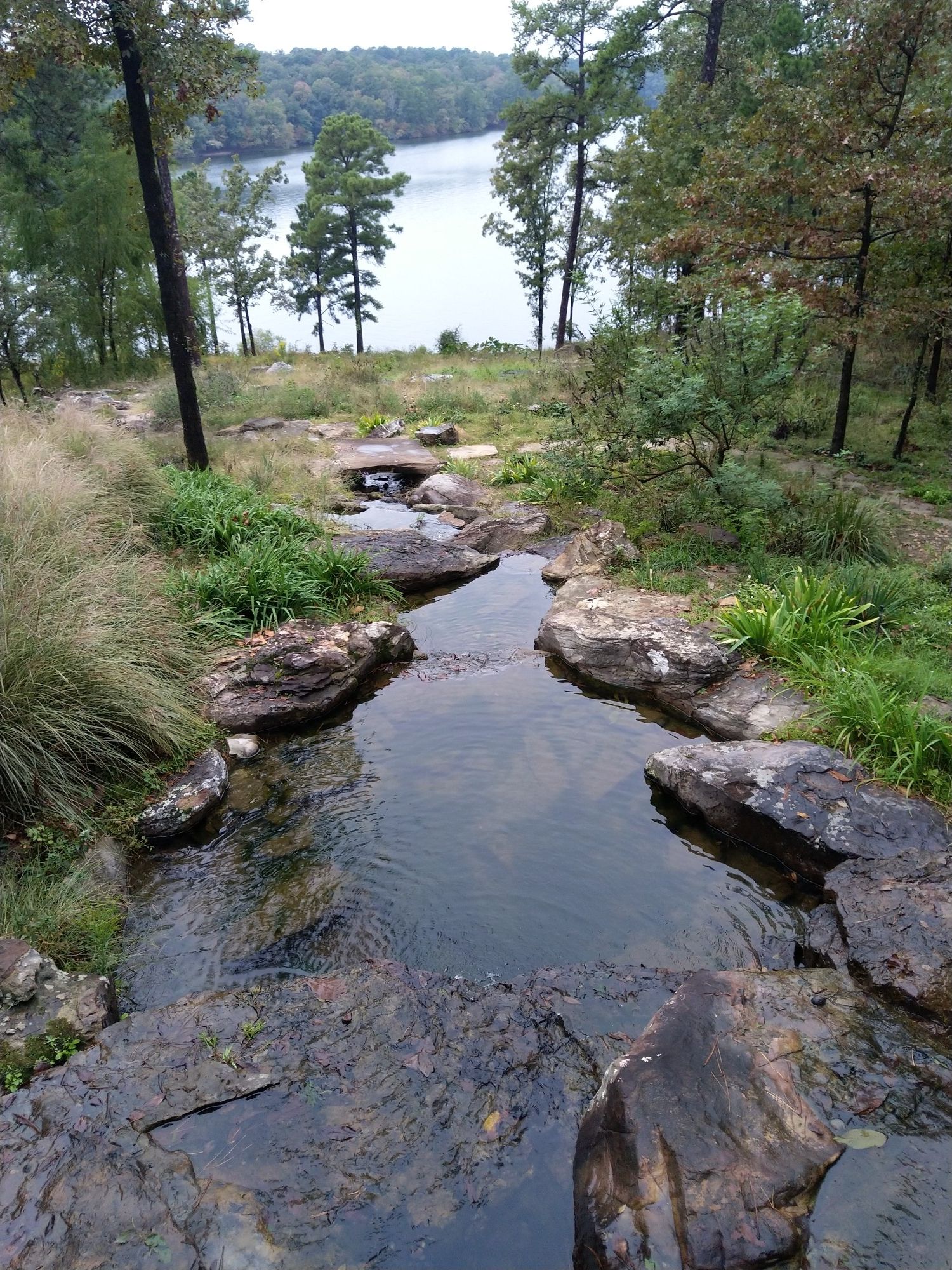 A rocky stream flows through a green forest towards a large lake. - Garvan Woodland Gardens Loop