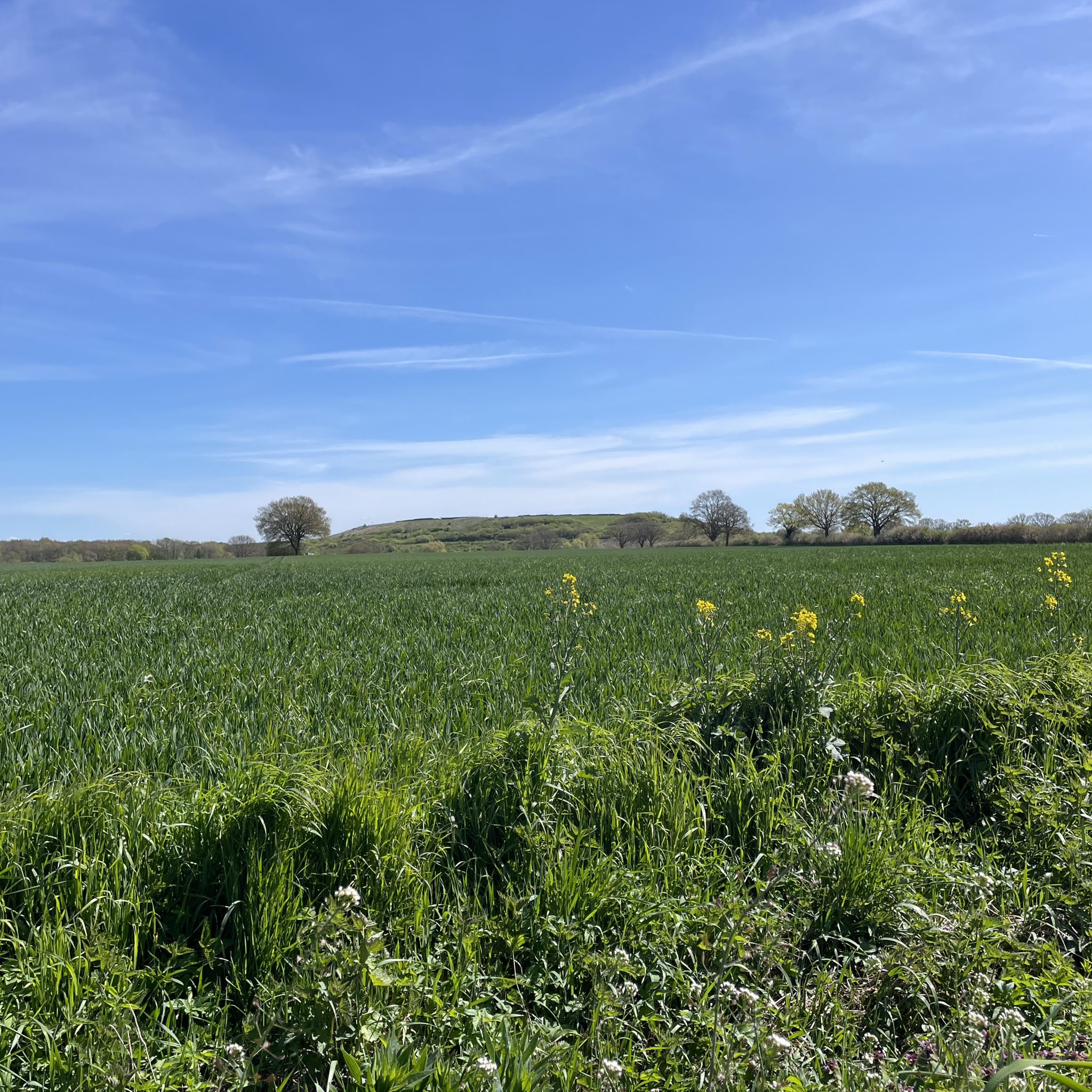 eine Müllkippe ist dort, wo der Landgraben verlief