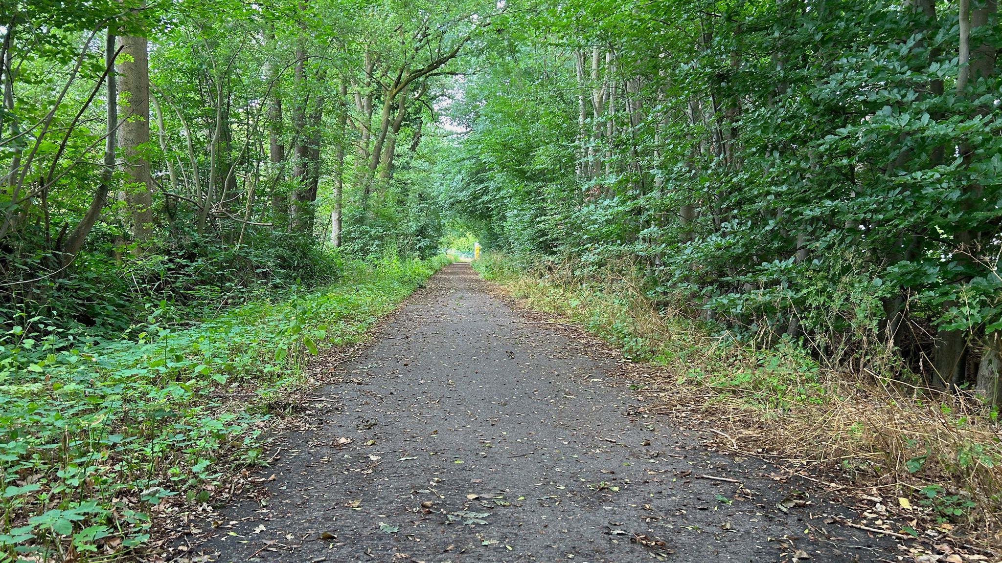 Rad- Fußweg