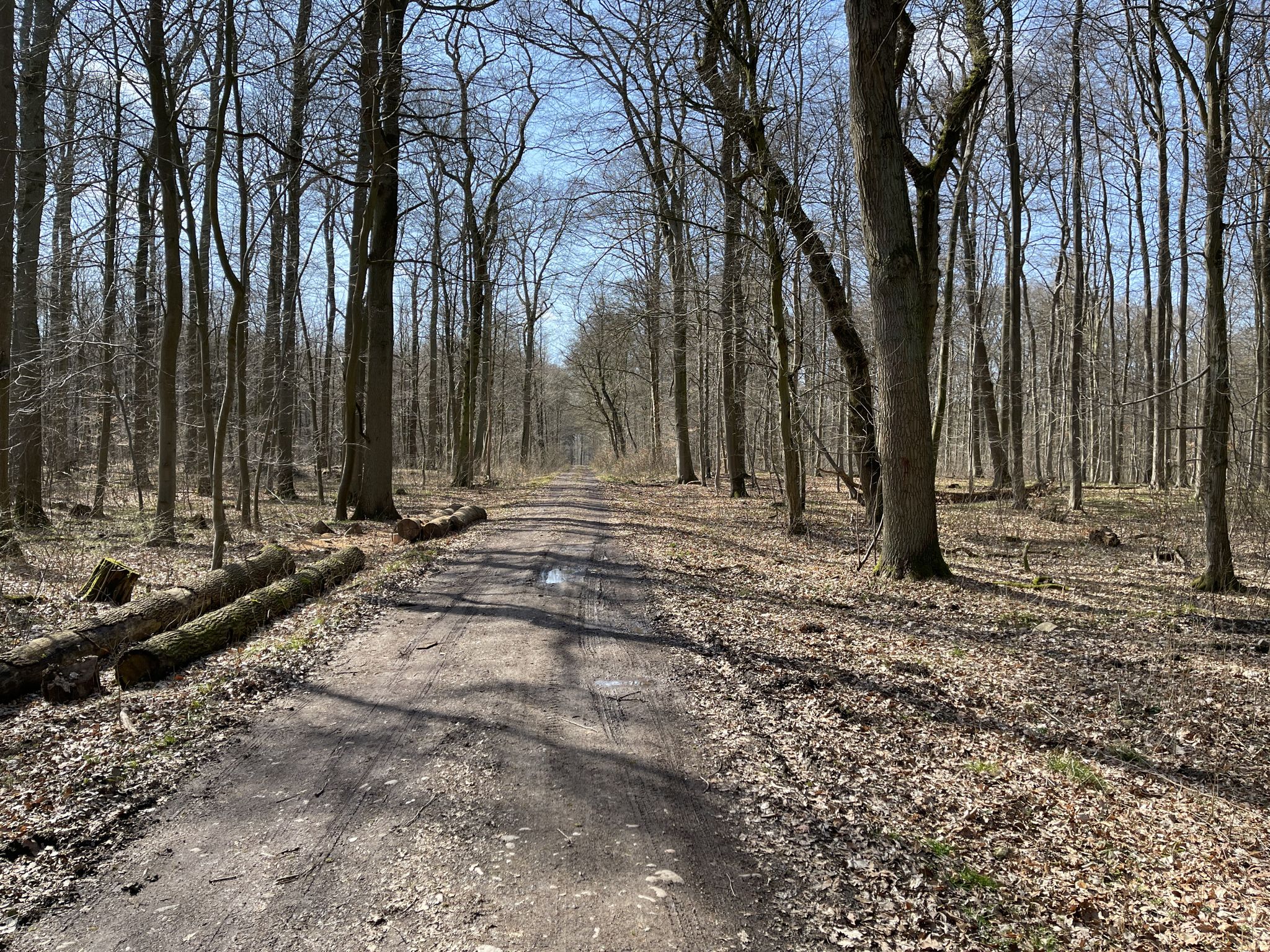 Bartelsbusch - natürlich.