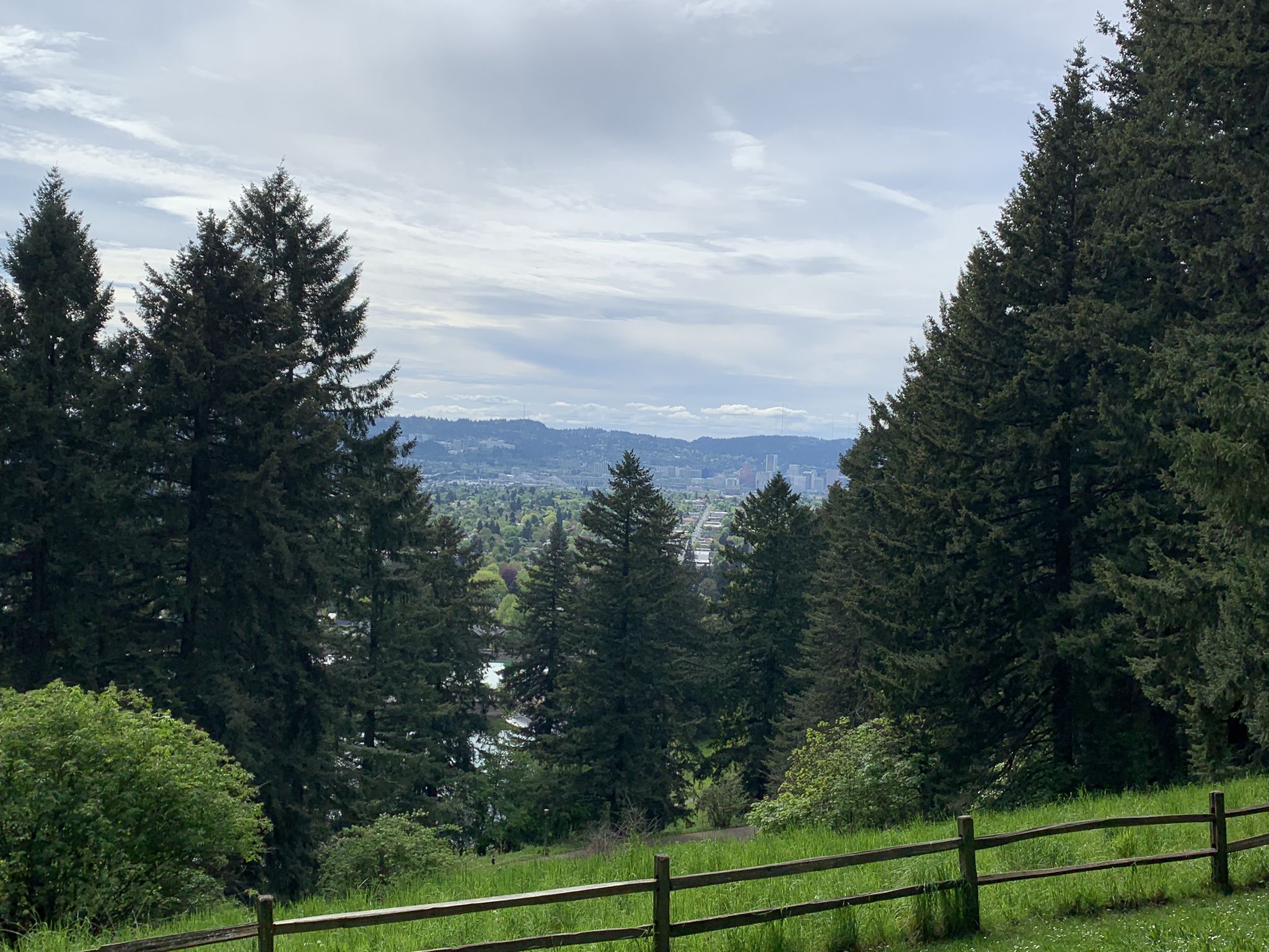 Overcast view of a valley with evergreen trees and distant hills. - Green Trail