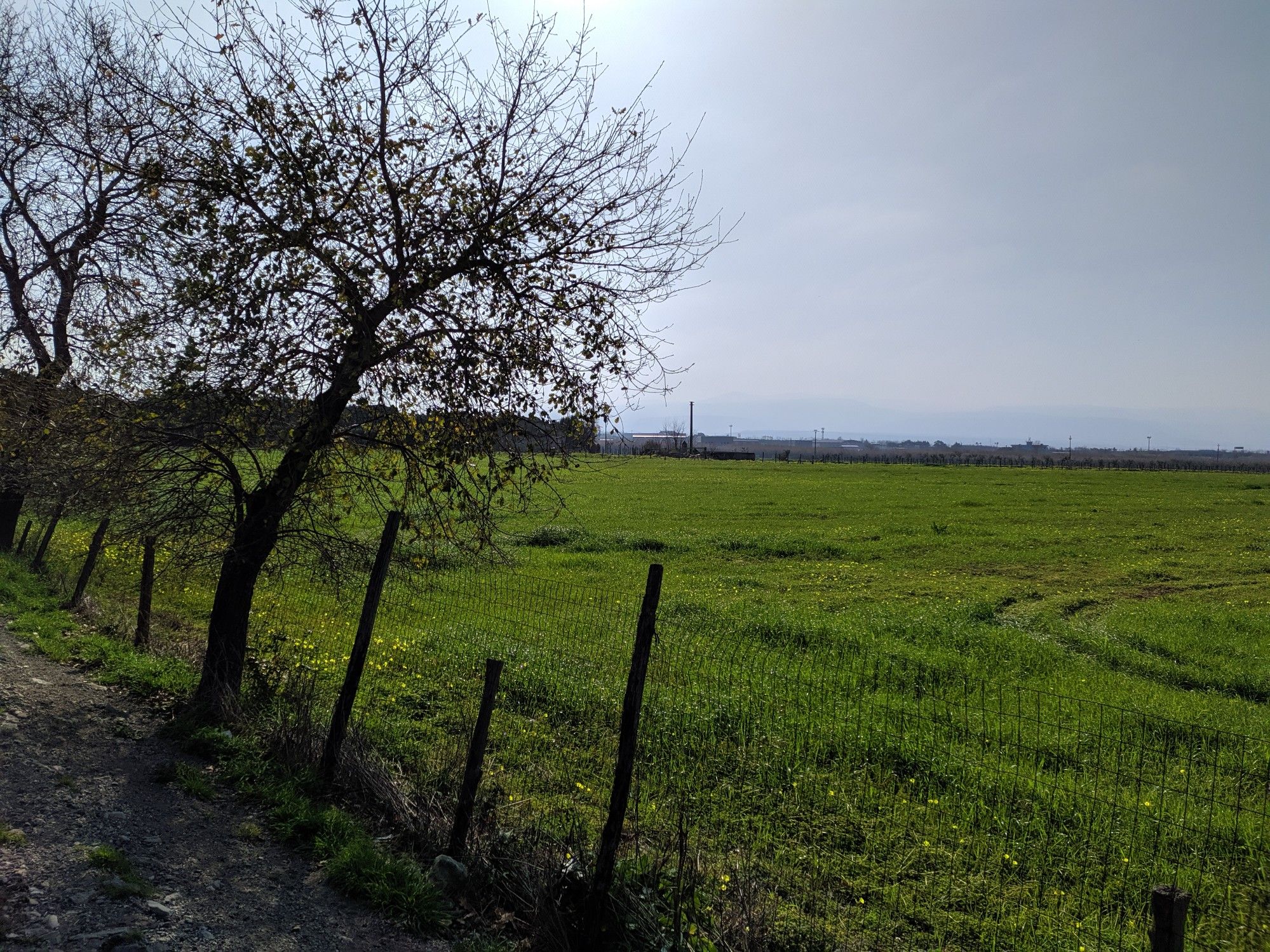 immersi nella natura