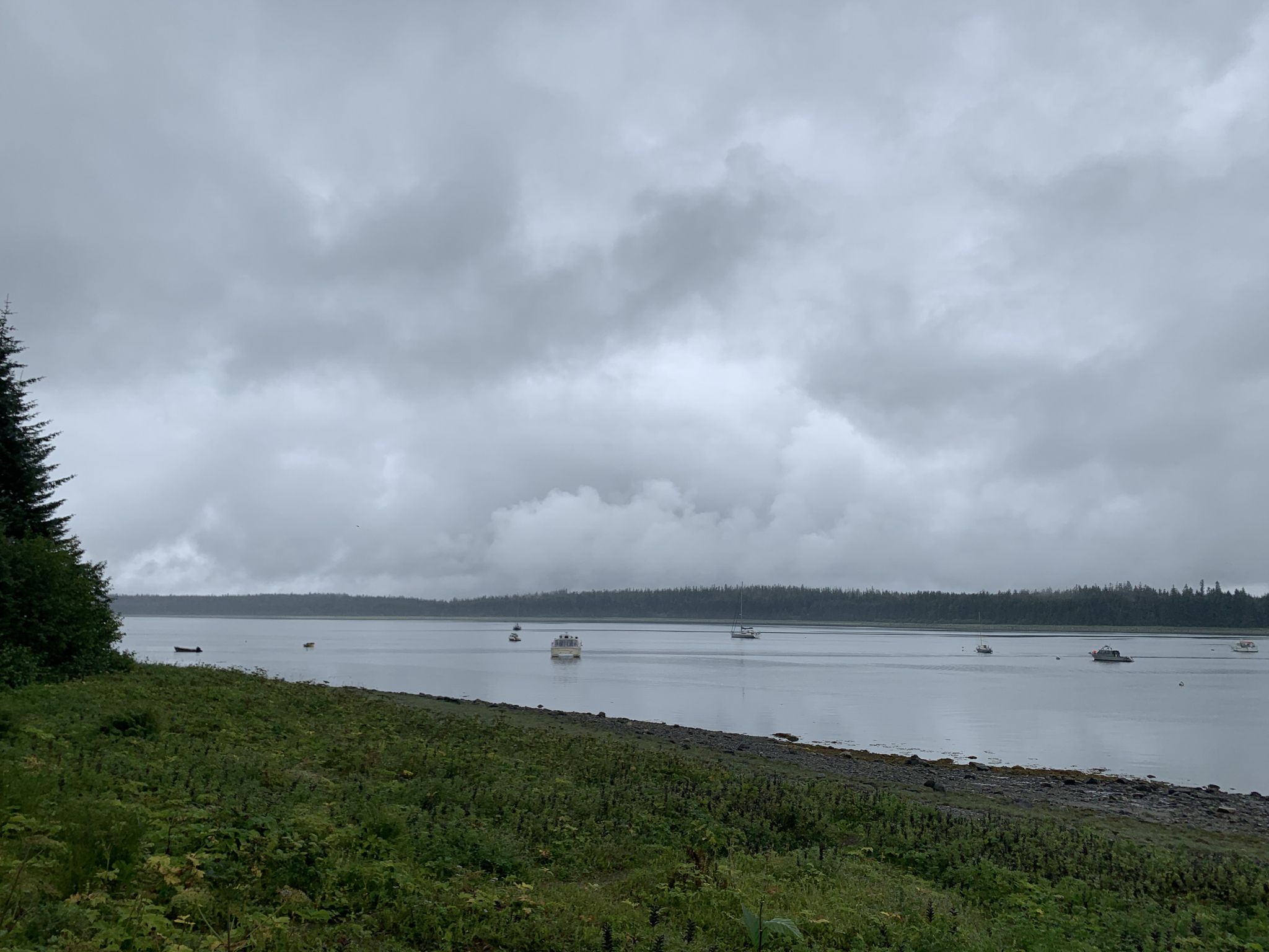 Boats on calm water under a cloudy sky, with green forested land. - Tlingit Trail