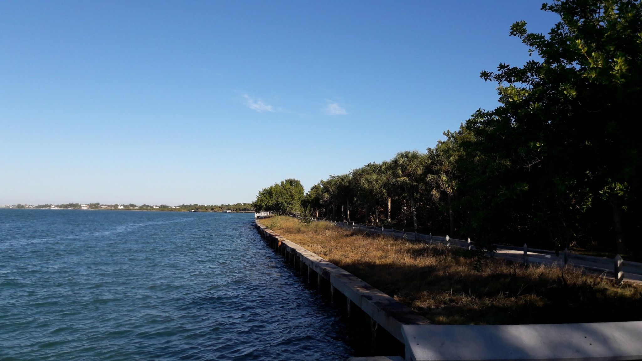 Calm blue water next to a tree-lined shore under a clear sky. - Rickenbacker Trail – Biscayne Bay Viewpoint loop from First Street