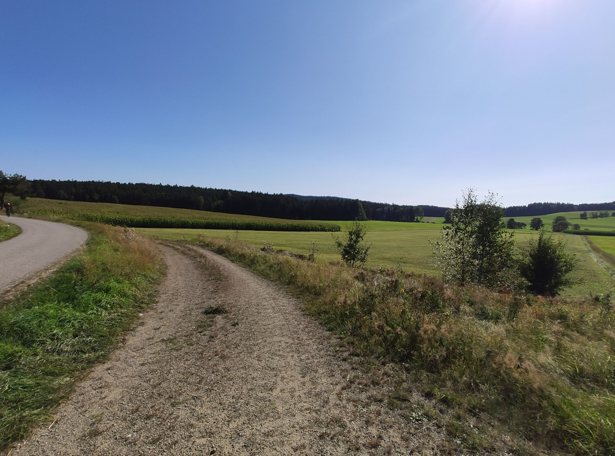 Vor Pleystein